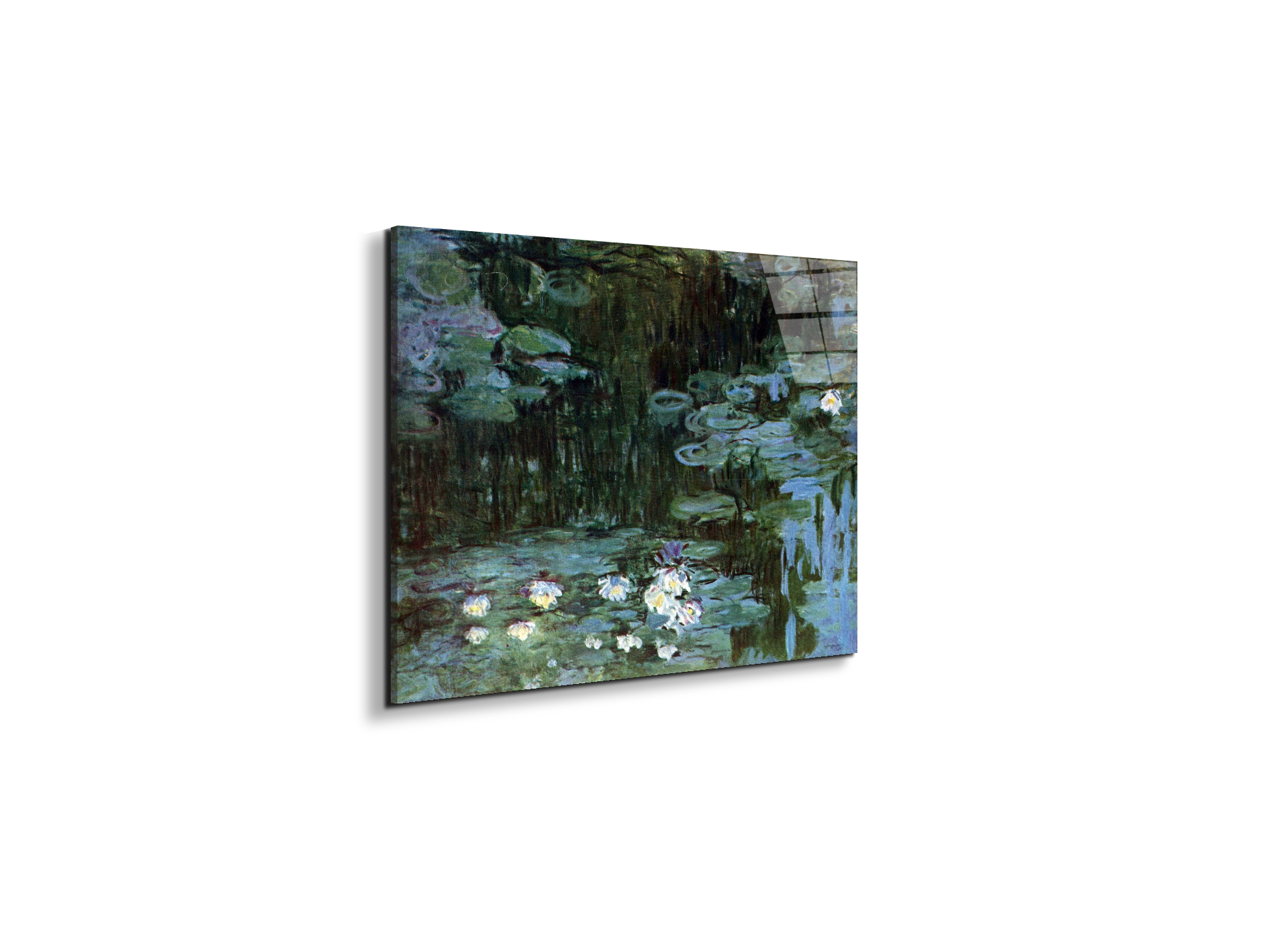 water-lillies-ias92037-