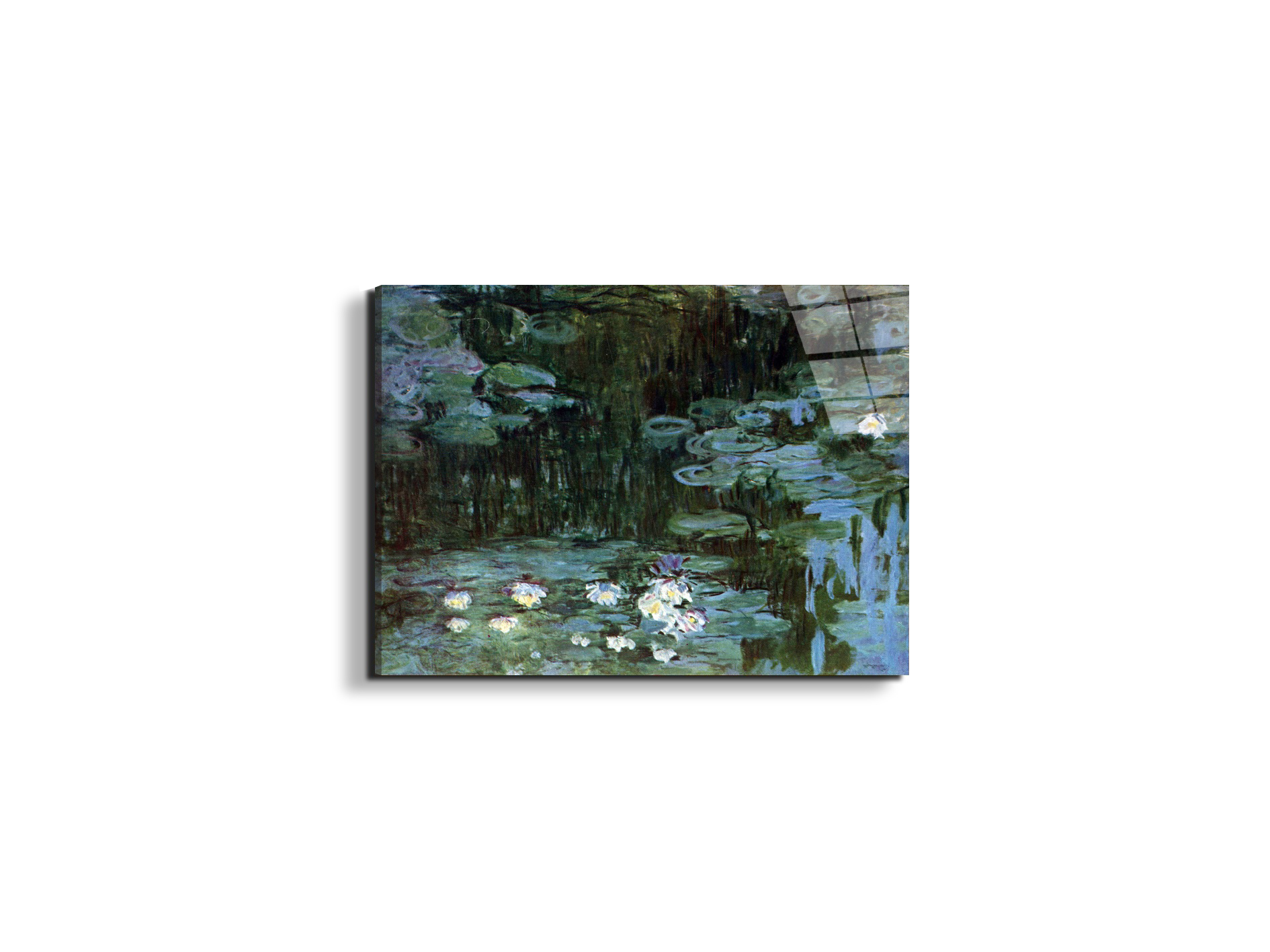 water-lillies-ias92037-