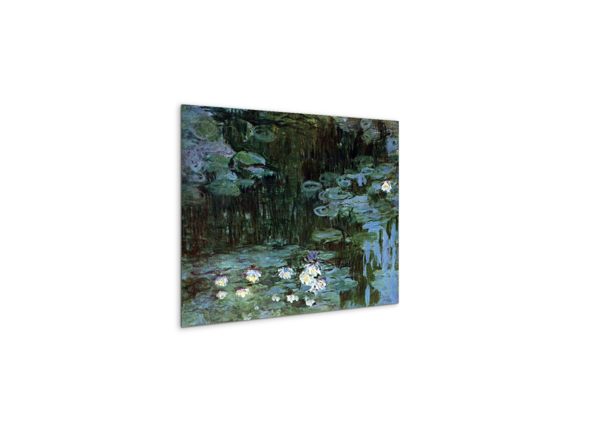 water-lillies-ias92037-