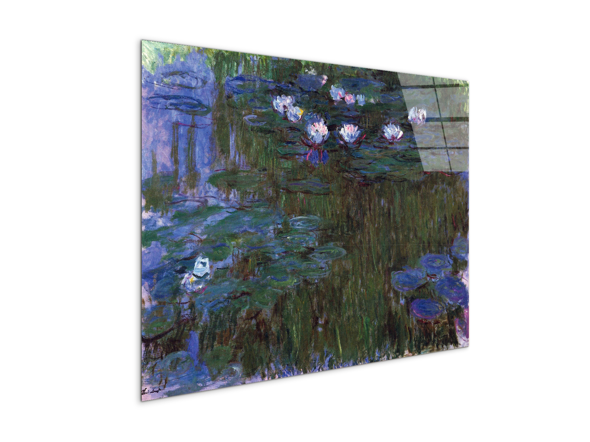 water-lillies-iias92039-