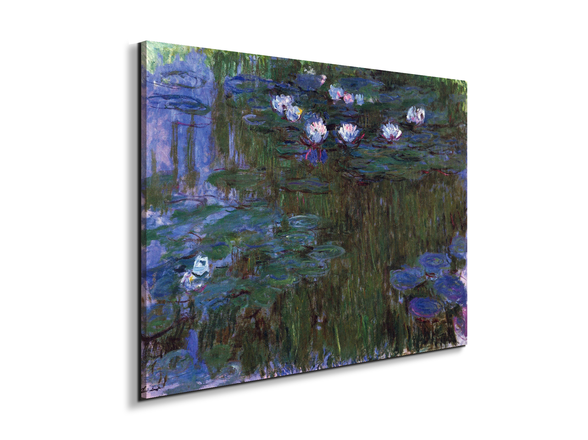 water-lillies-iias92039-
