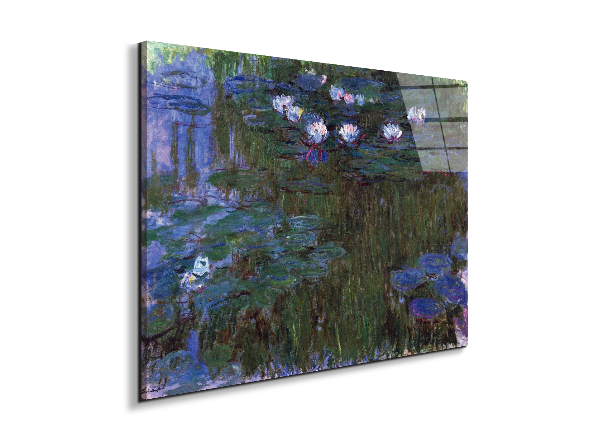 water-lillies-iias92039-