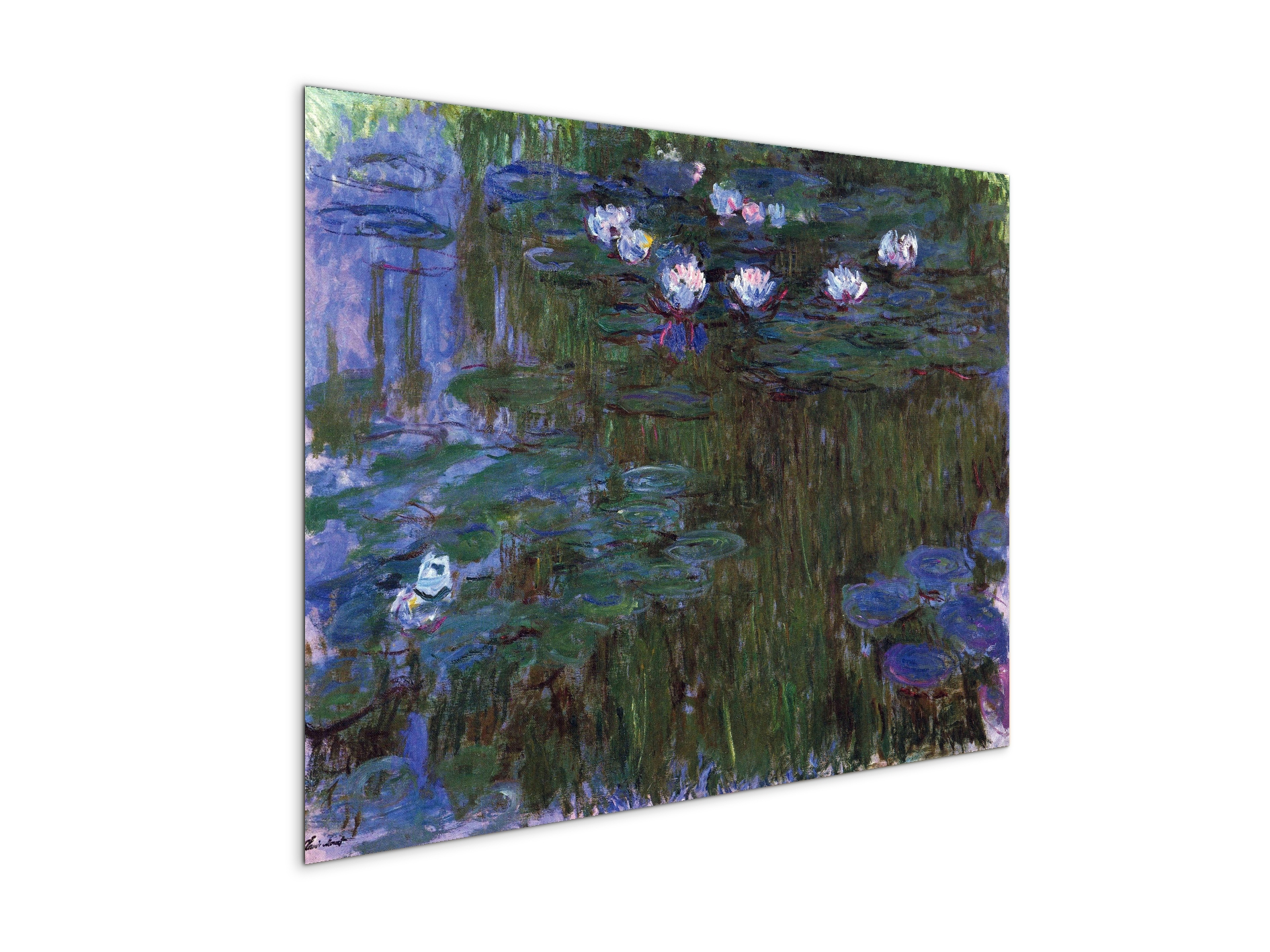 water-lillies-iias92039-
