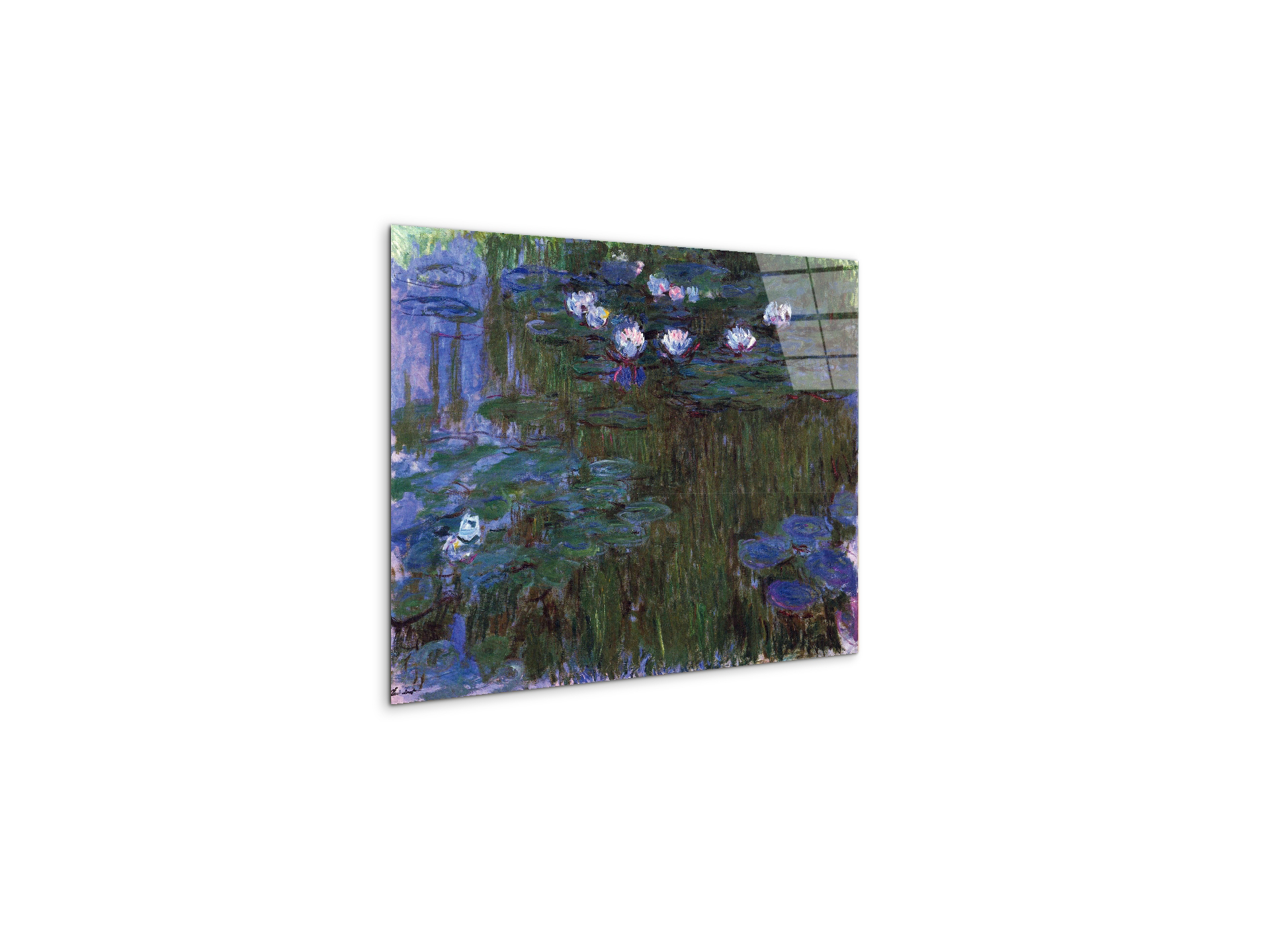 water-lillies-iias92039-