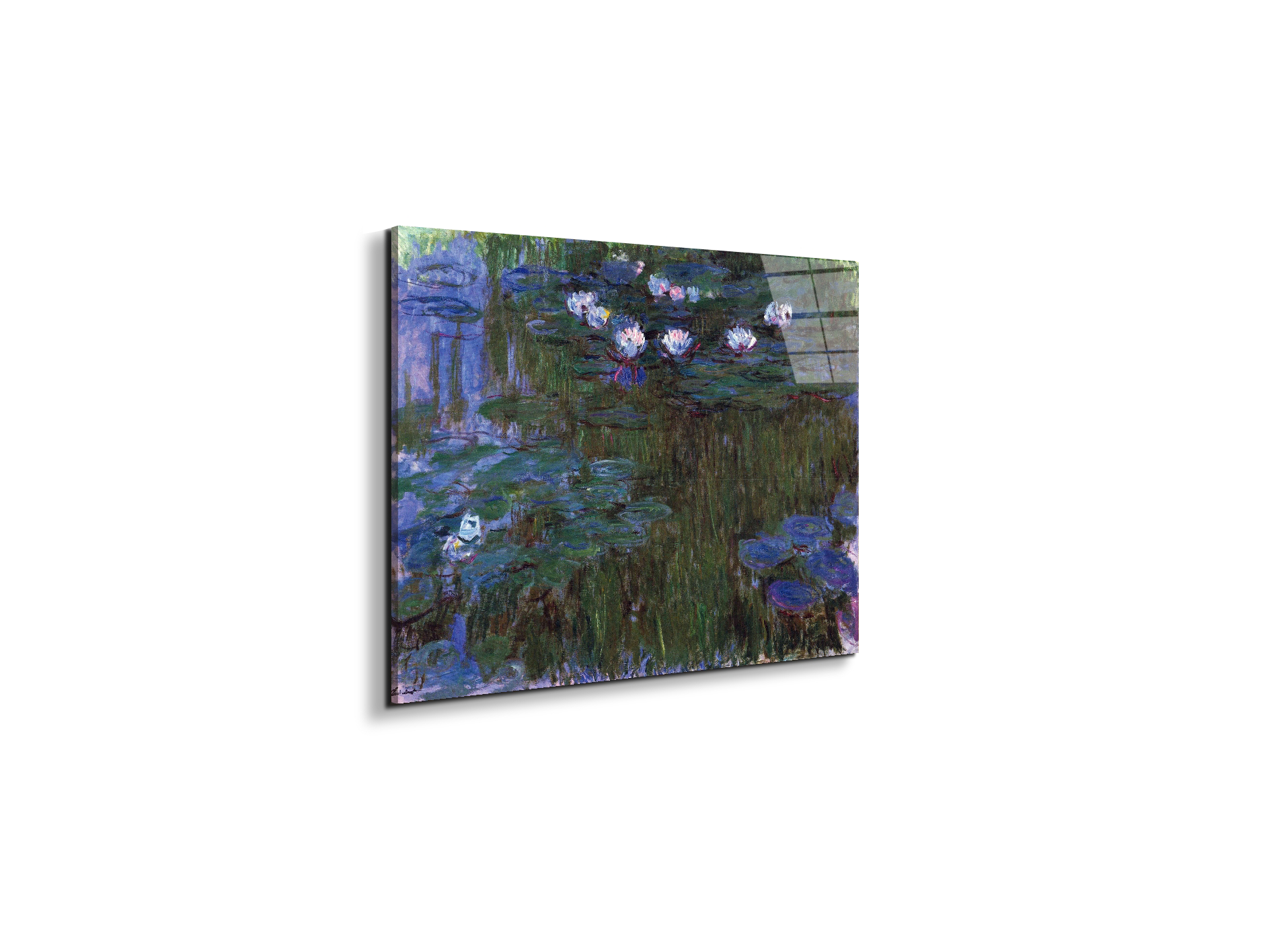 water-lillies-iias92039-