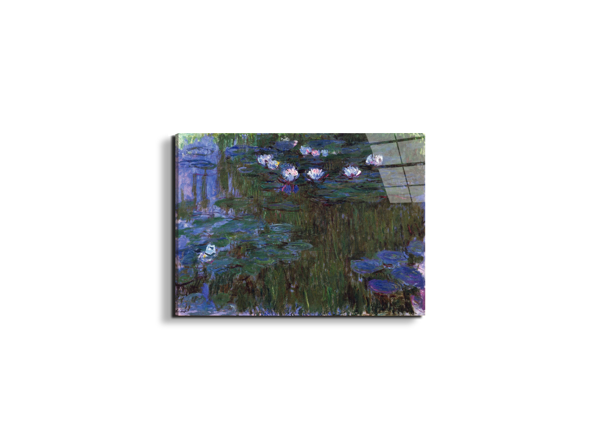 water-lillies-iias92039-