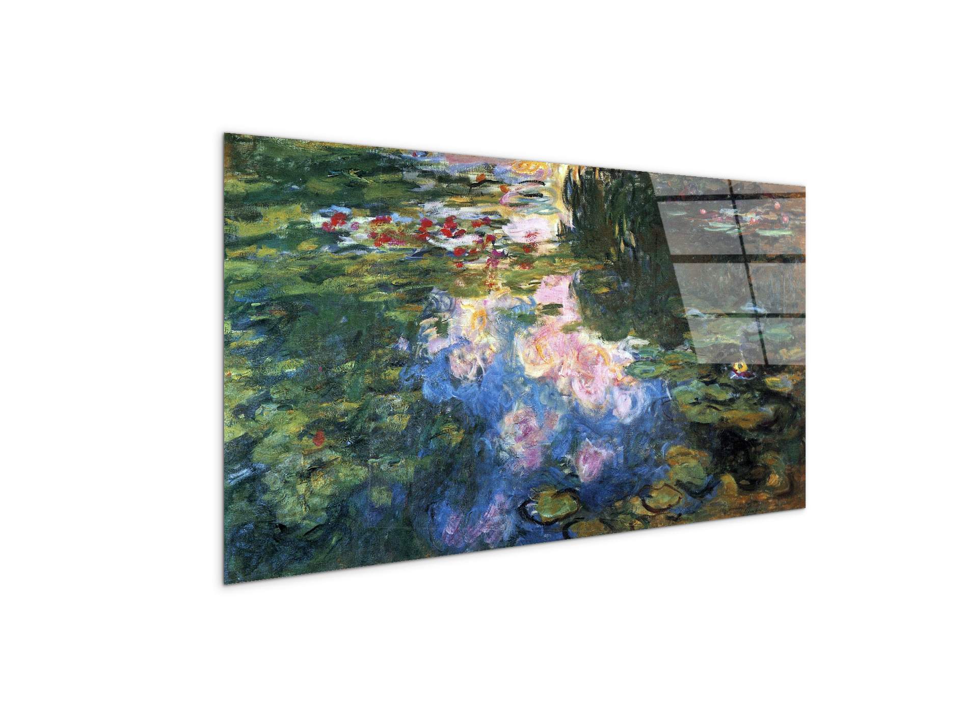water-lillies-iiias92041-