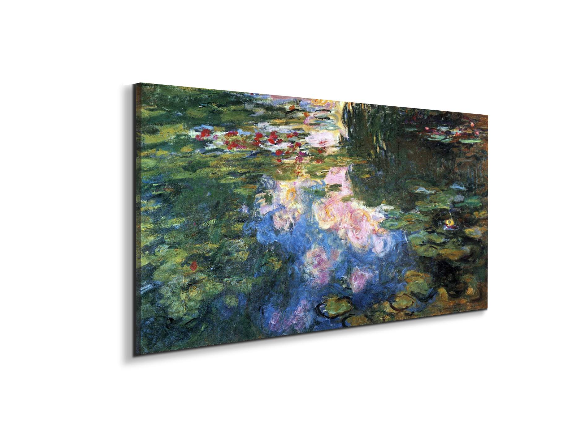 water-lillies-iiias92041-
