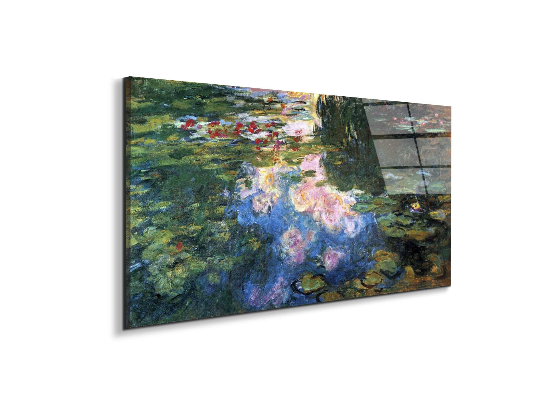 water-lillies-iiias92041-
