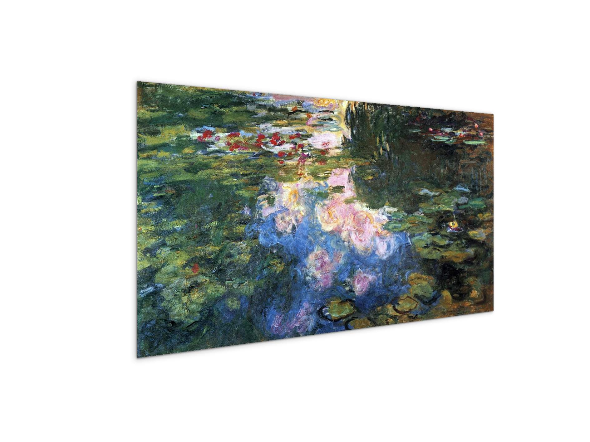 water-lillies-iiias92041-