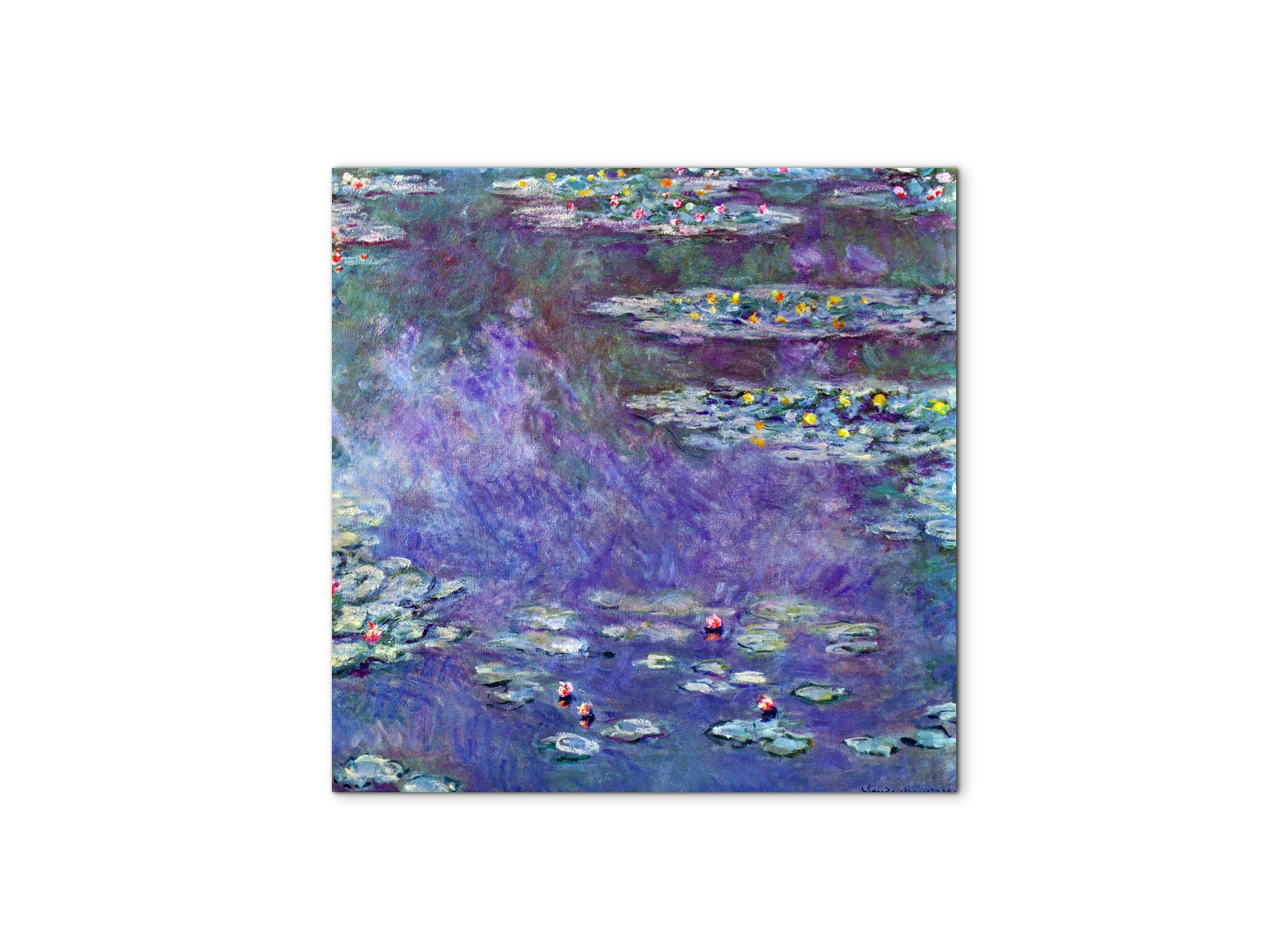 water-lily-pond-iiias92051-#materiale_MetalArt Materic/dimensioni_58x58