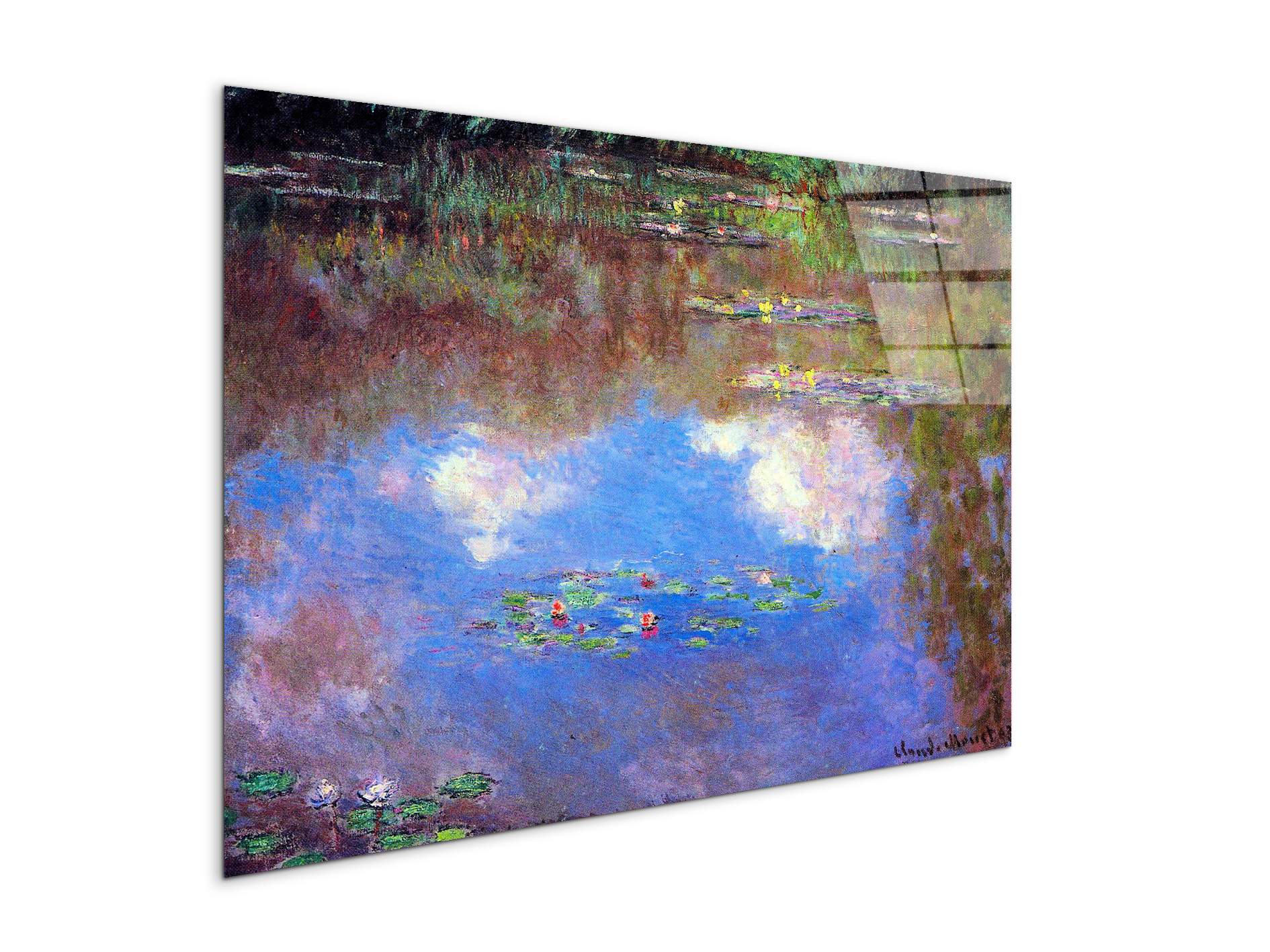 water-lily-pond-ivas92055-