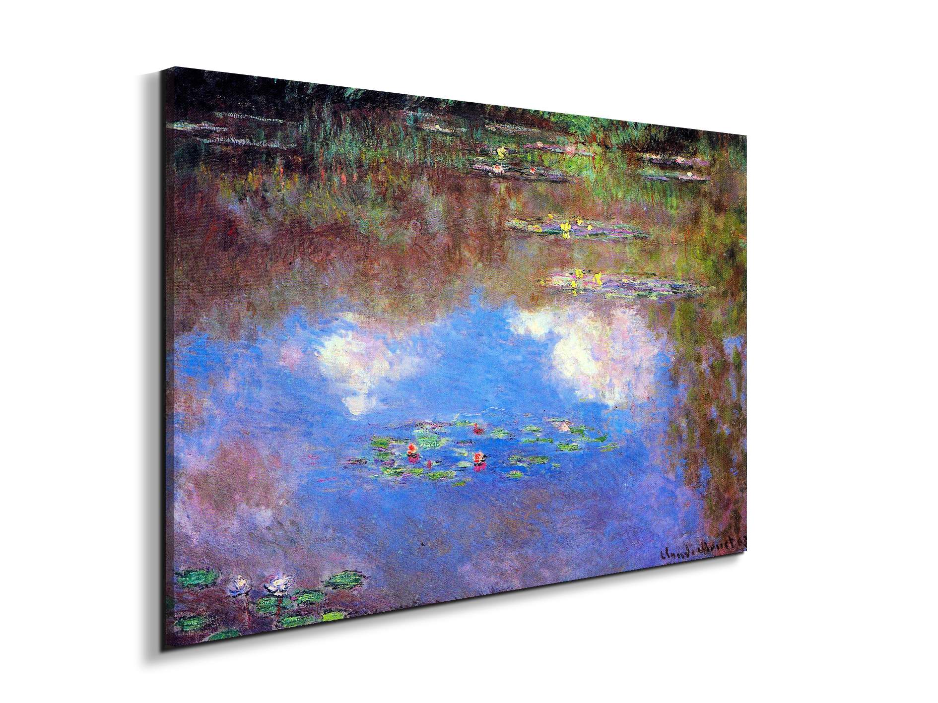 water-lily-pond-ivas92055-