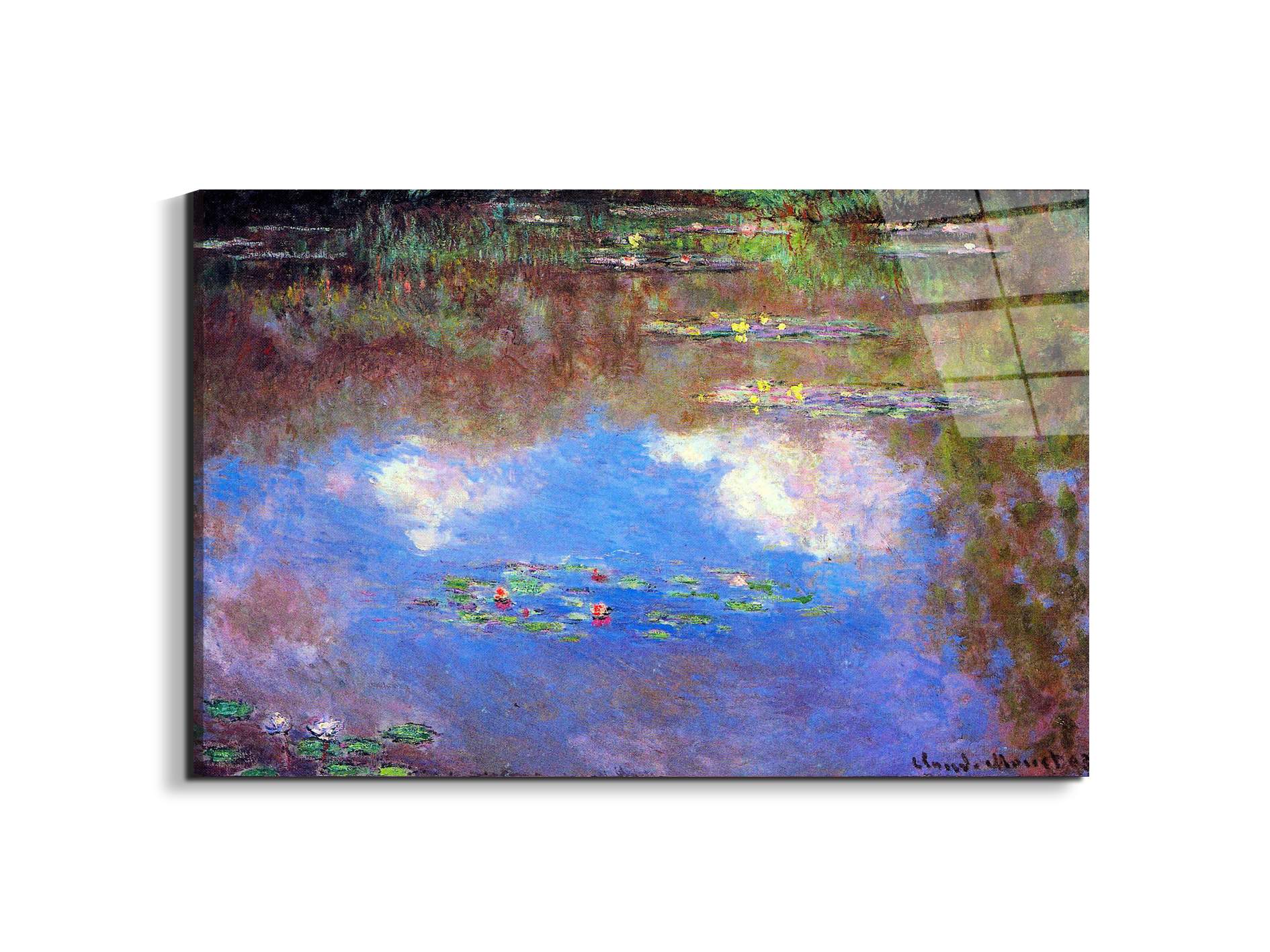 water-lily-pond-ivas92055-