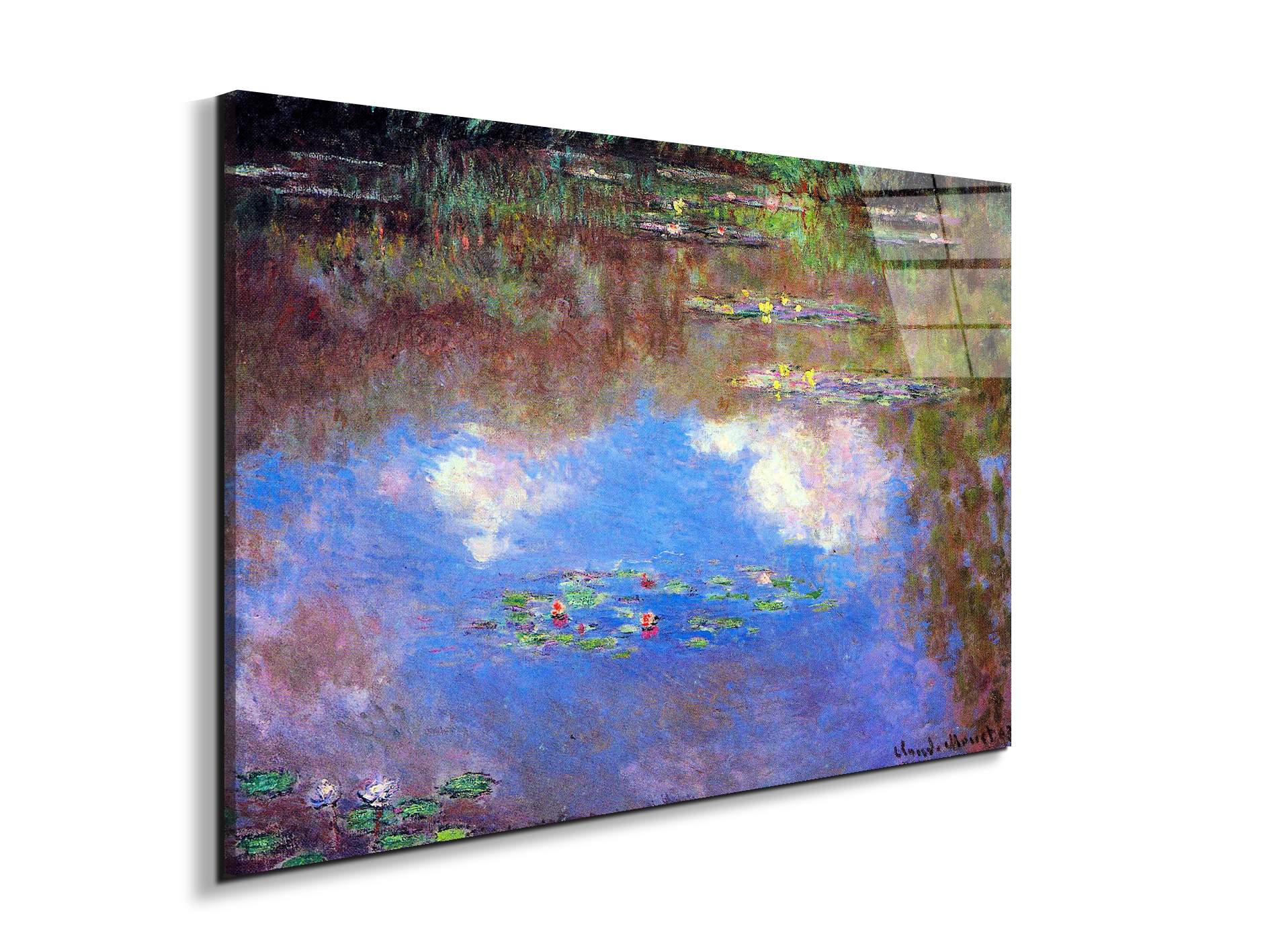 water-lily-pond-ivas92055-