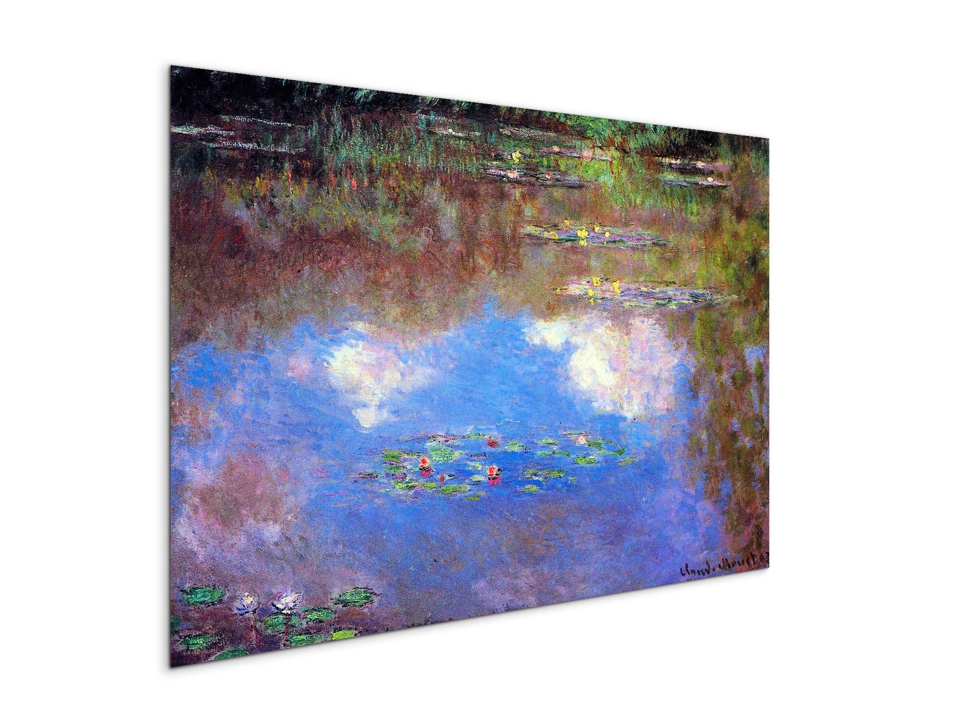 water-lily-pond-ivas92055-