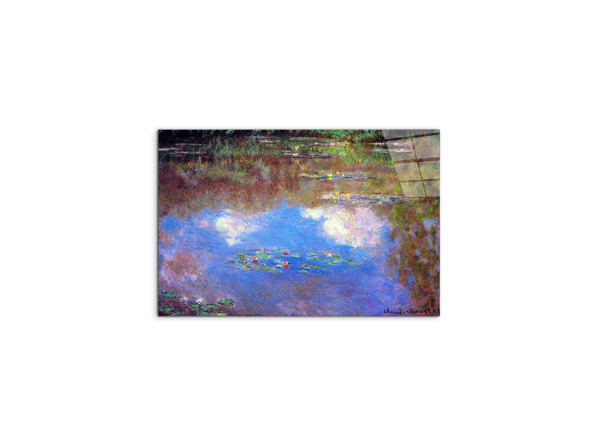 water-lily-pond-ivas92055-