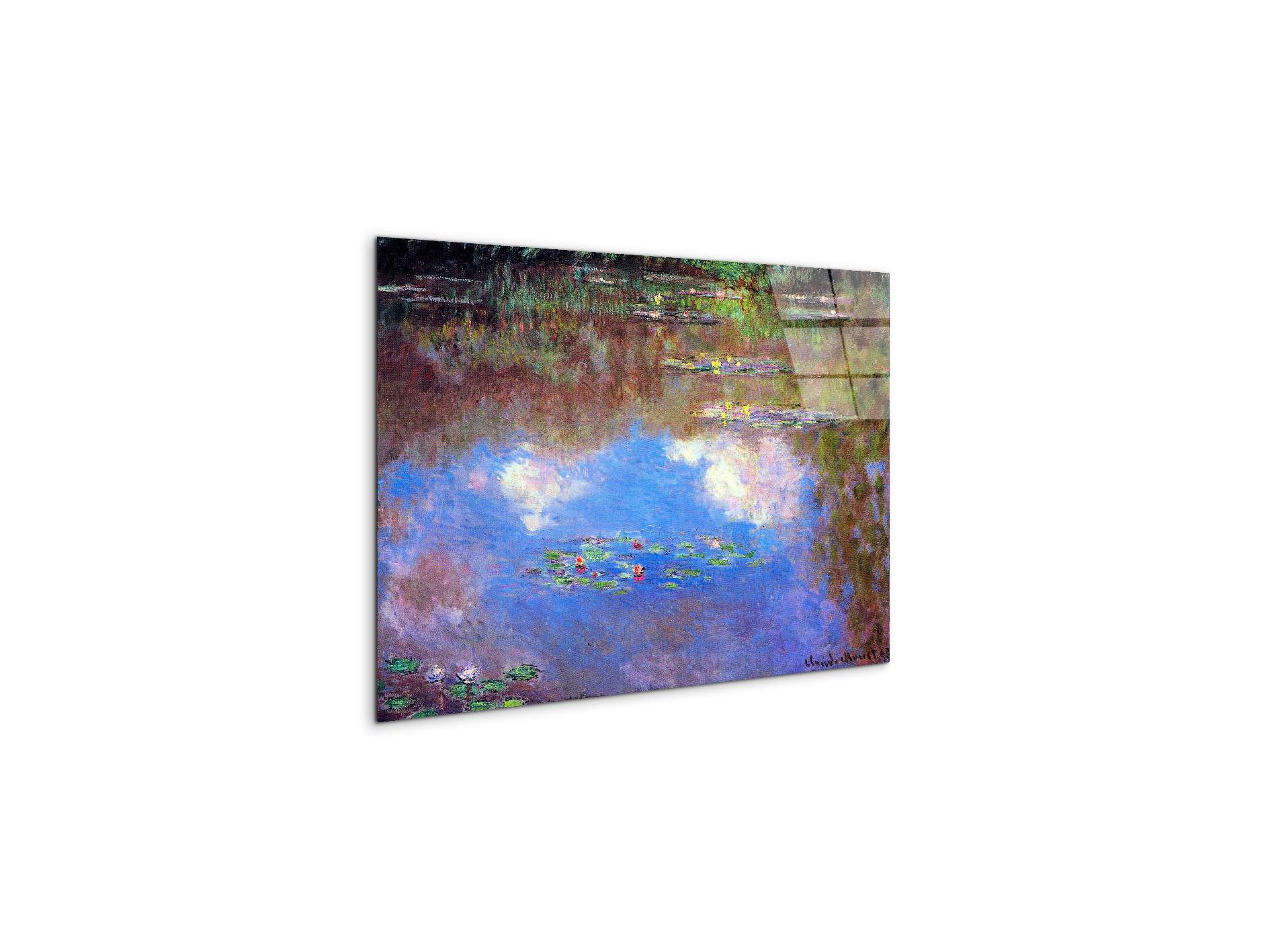 water-lily-pond-ivas92055-
