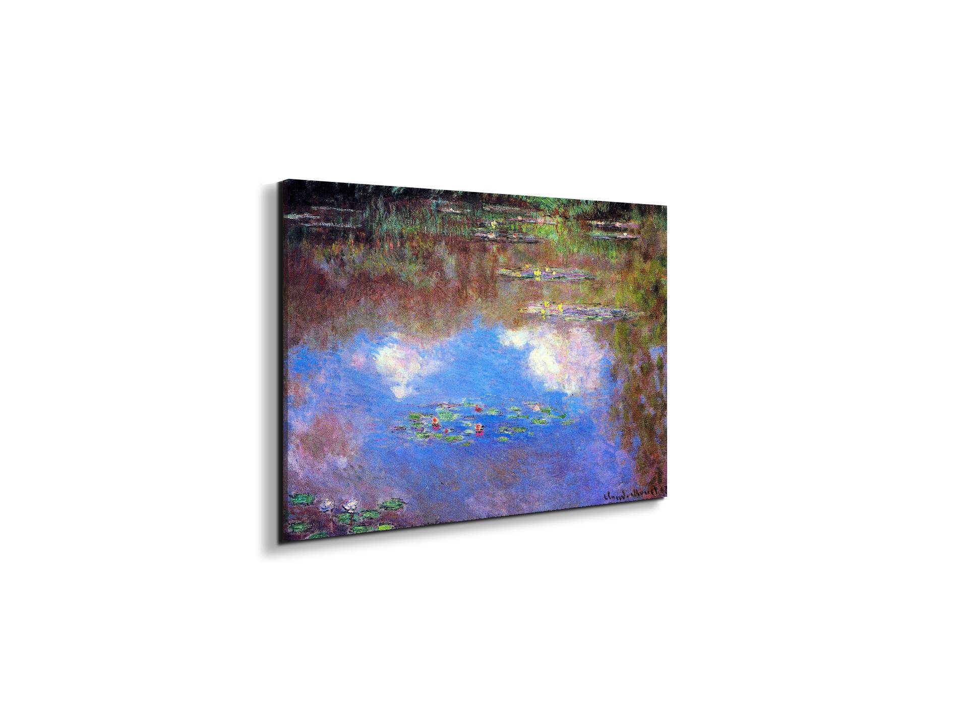 water-lily-pond-ivas92055-
