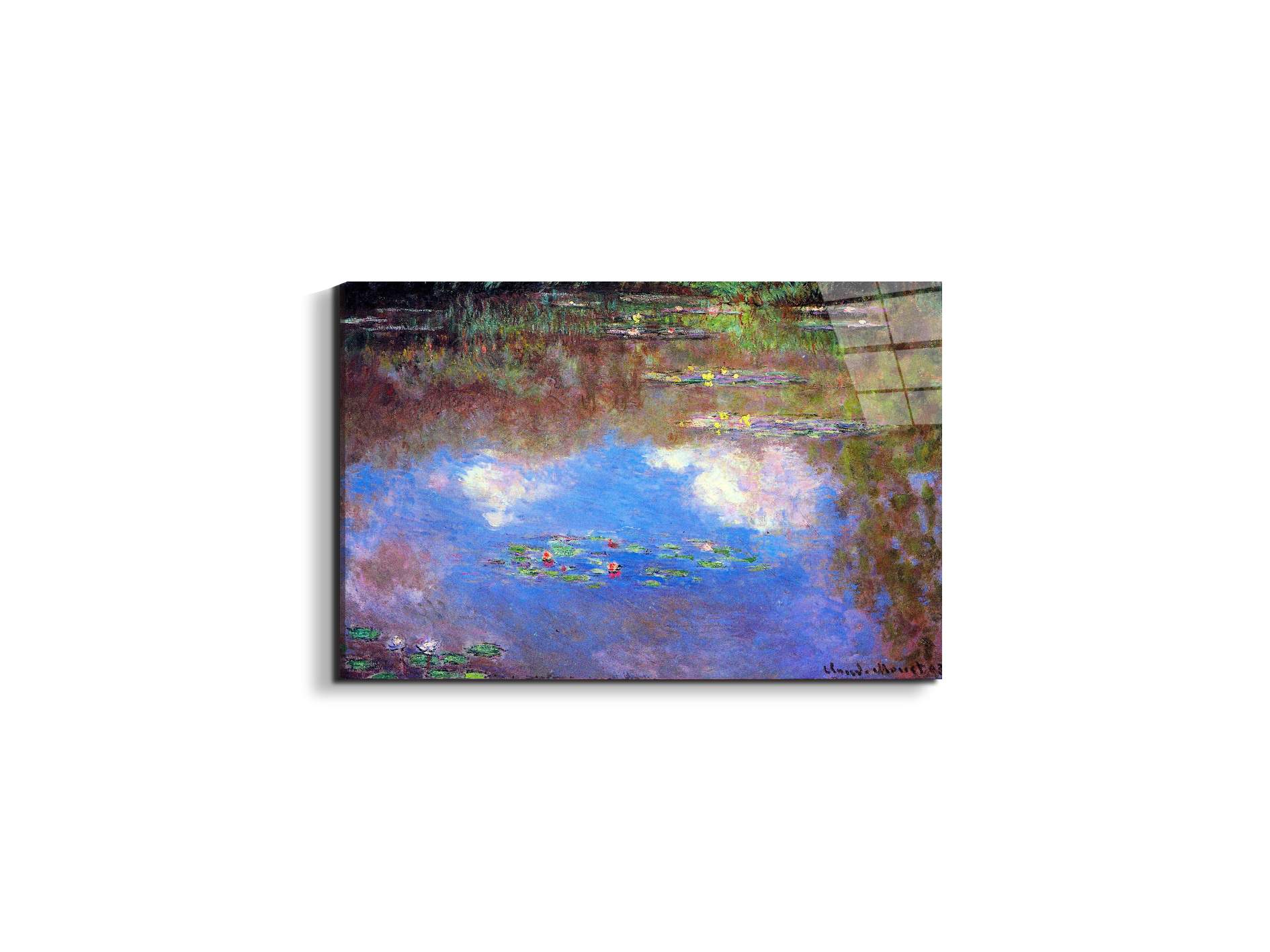 water-lily-pond-ivas92055-