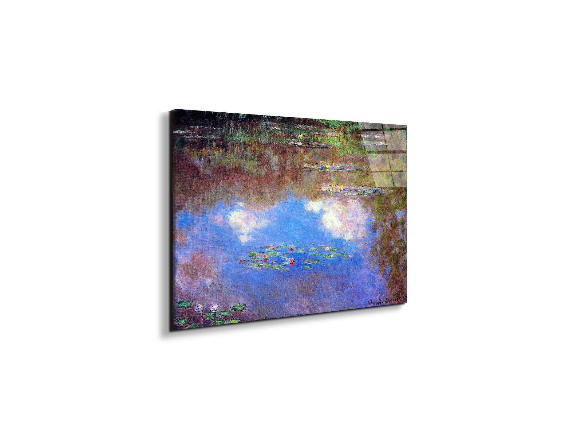 water-lily-pond-ivas92055-