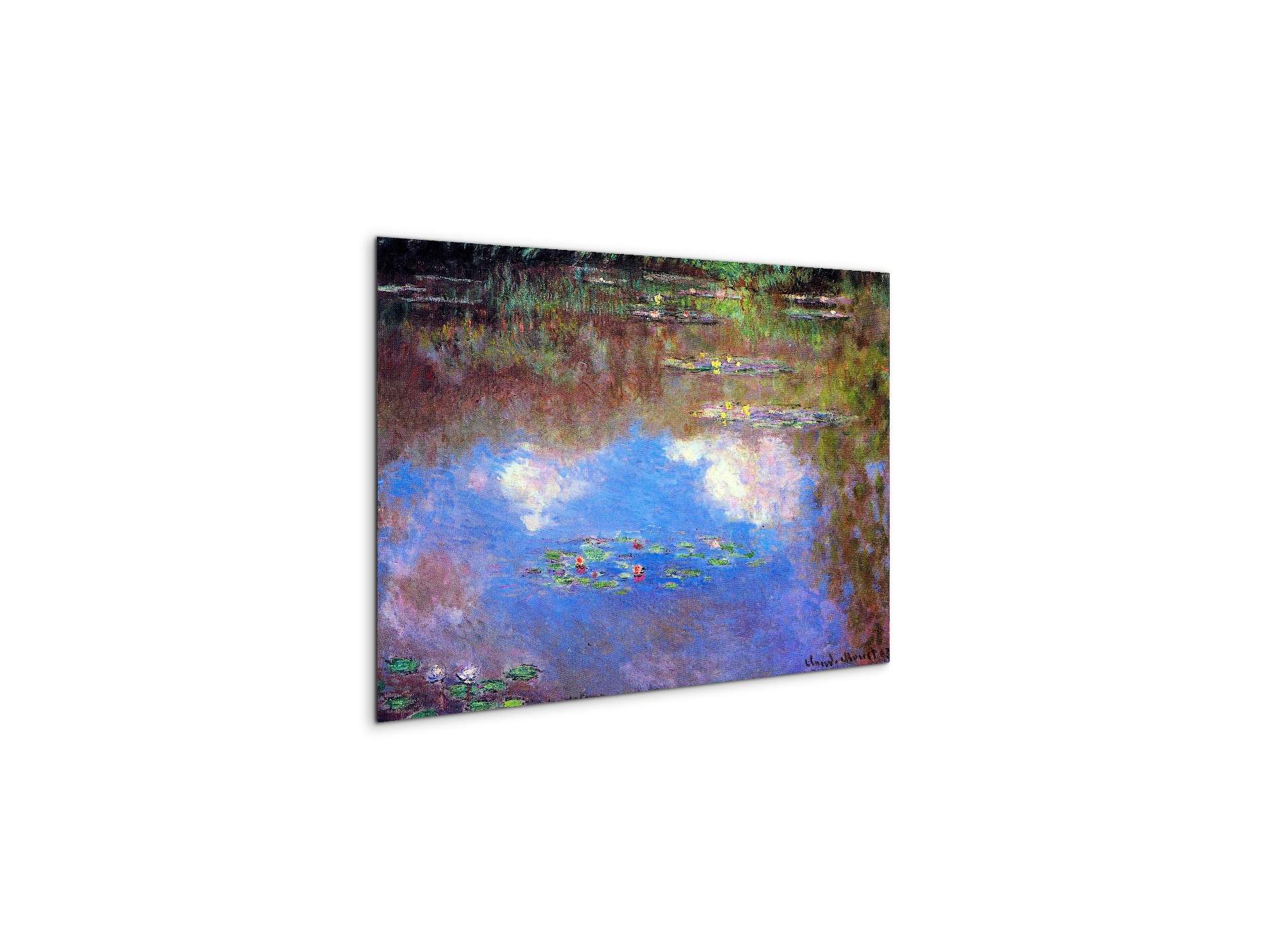 water-lily-pond-ivas92055-