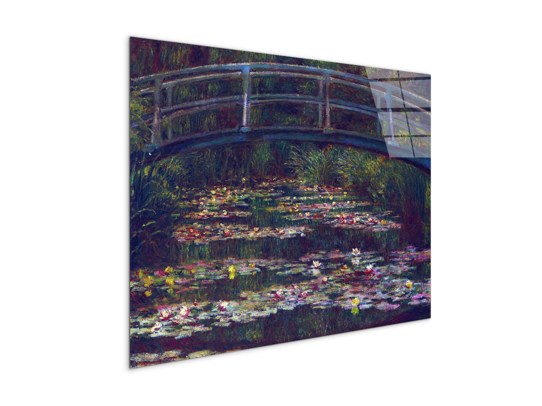 water-lily-pond-vas92057-