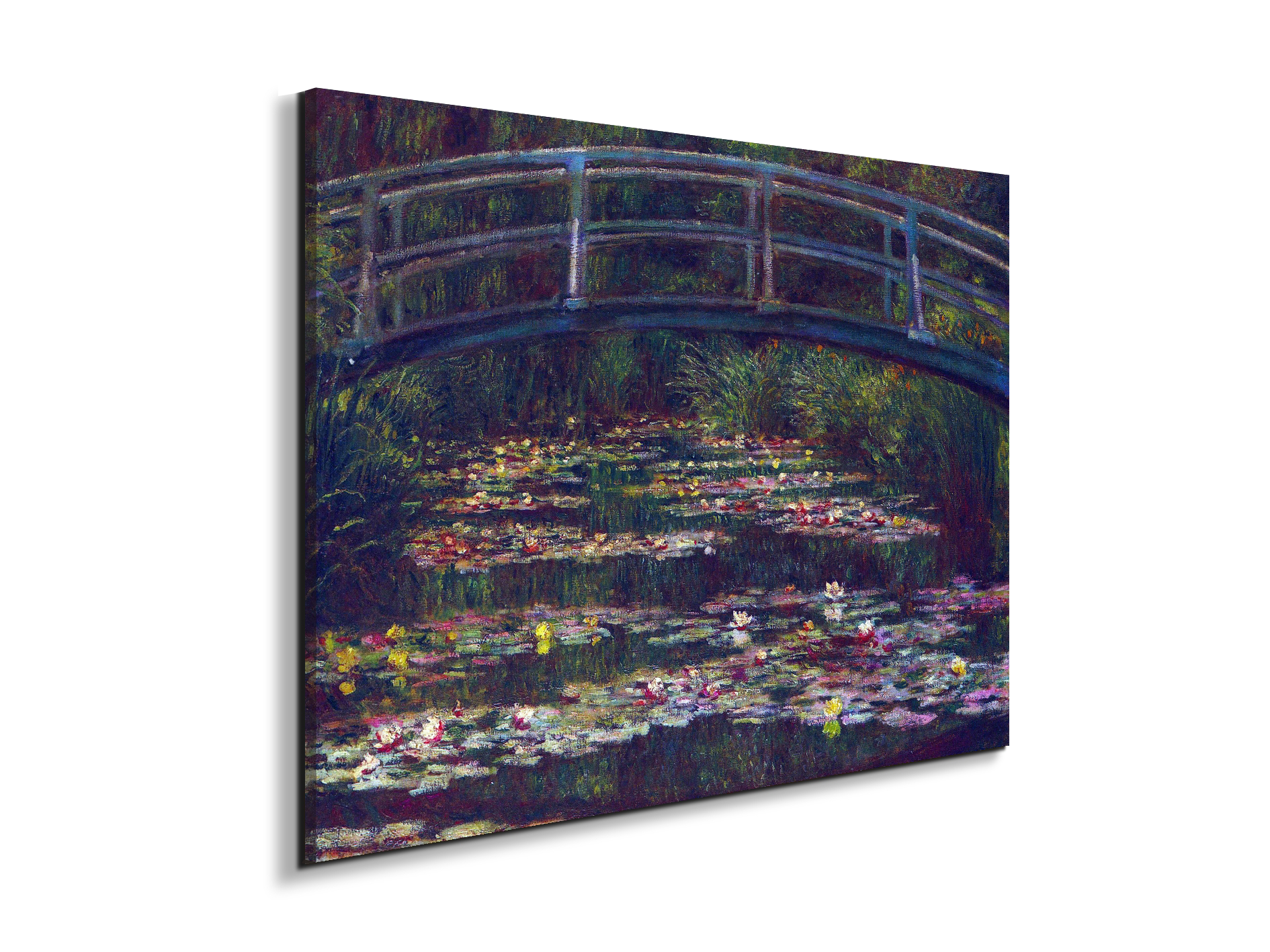 water-lily-pond-vas92057-