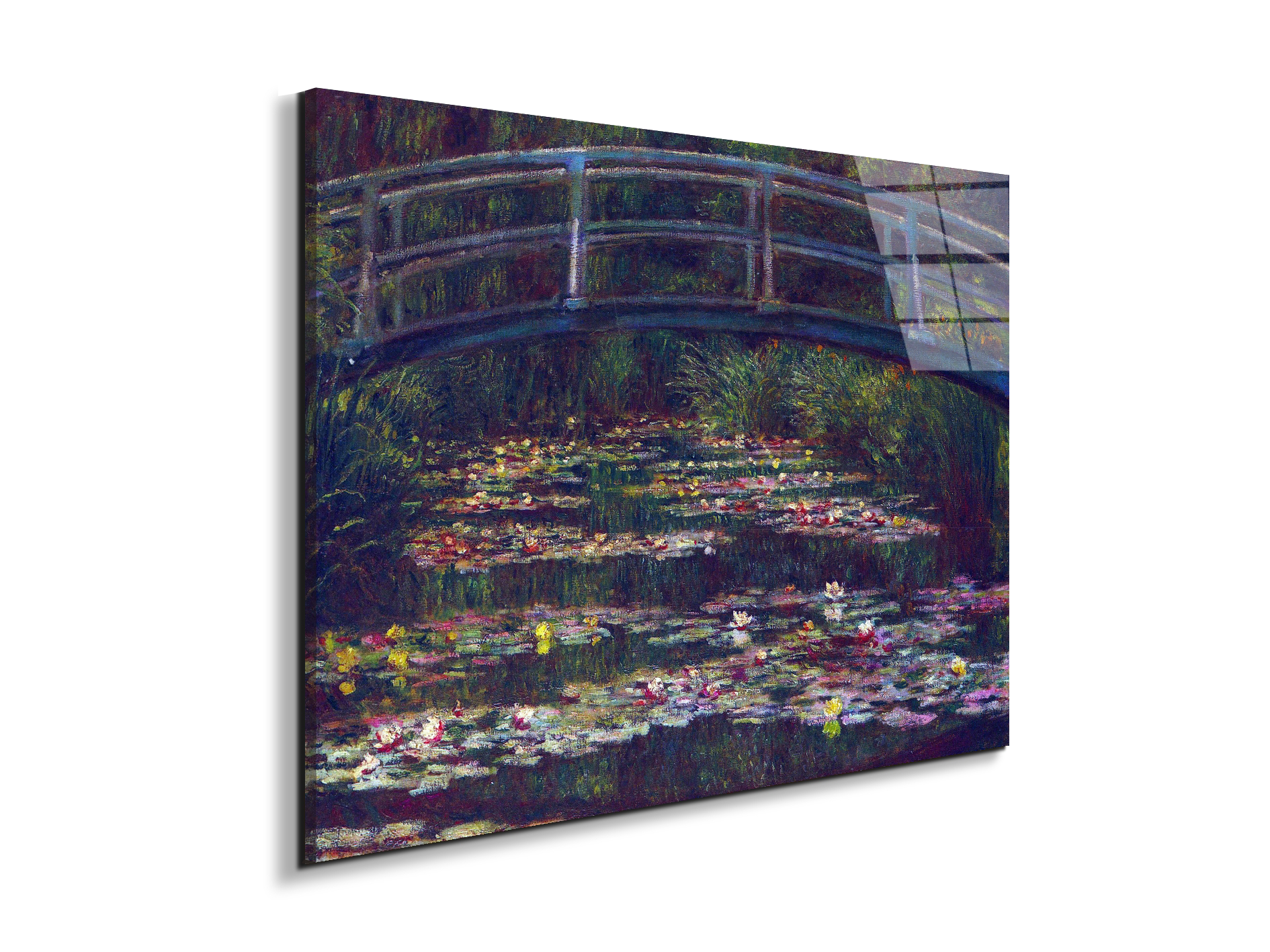 water-lily-pond-vas92057-