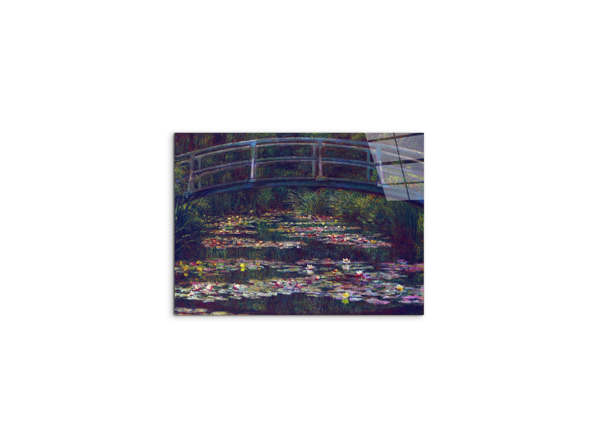 water-lily-pond-vas92057-
