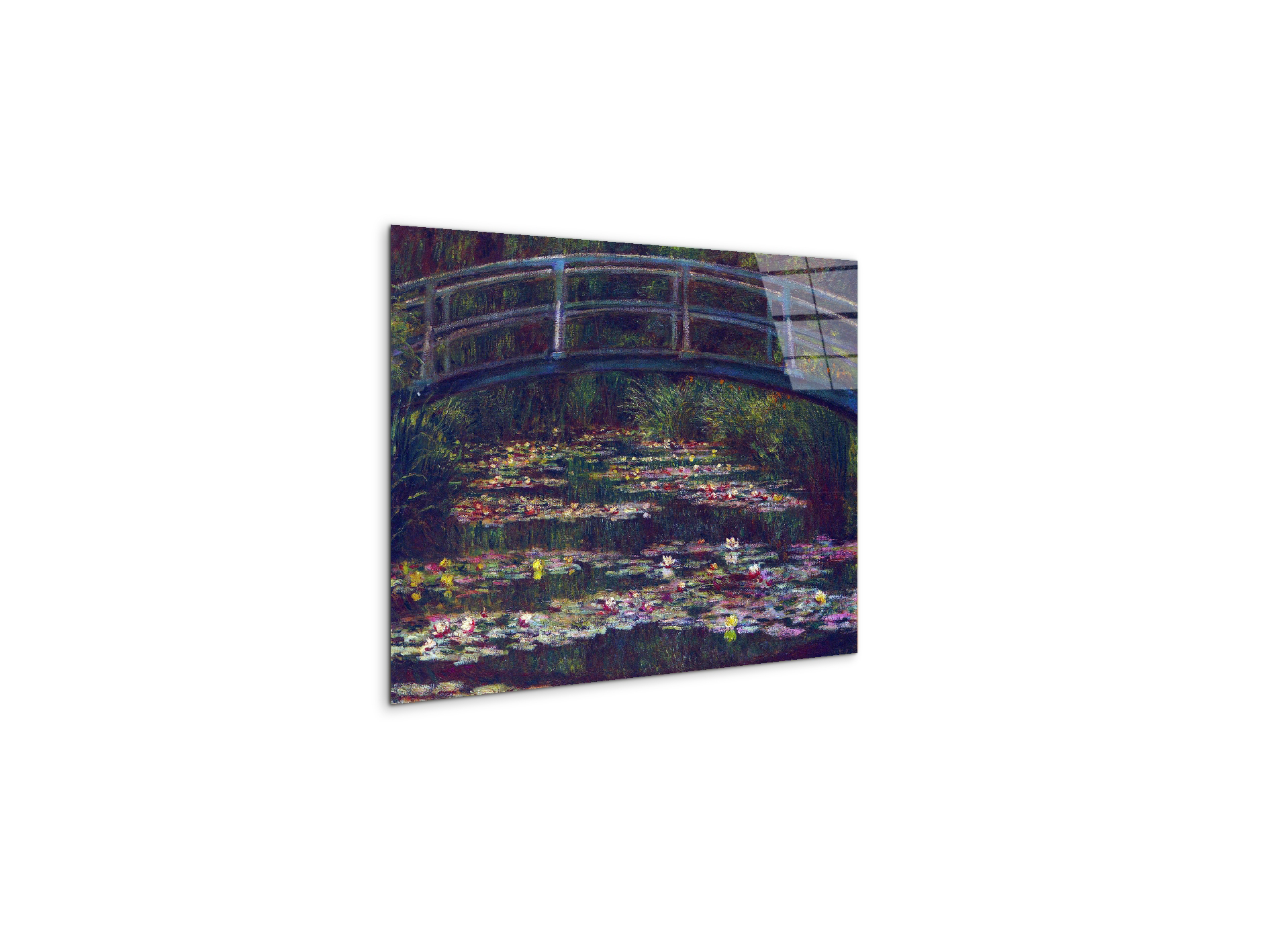 water-lily-pond-vas92057-