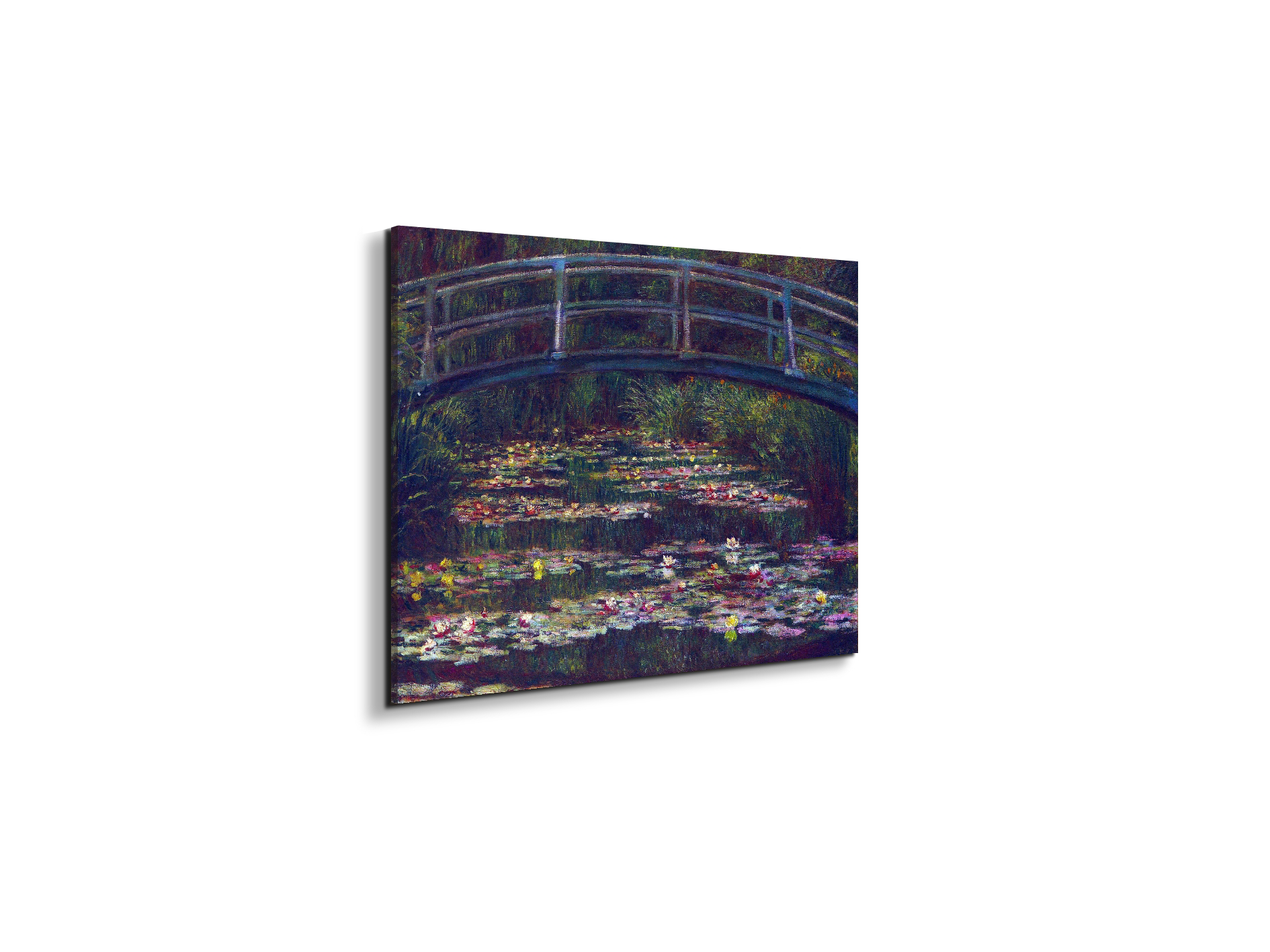 water-lily-pond-vas92057-