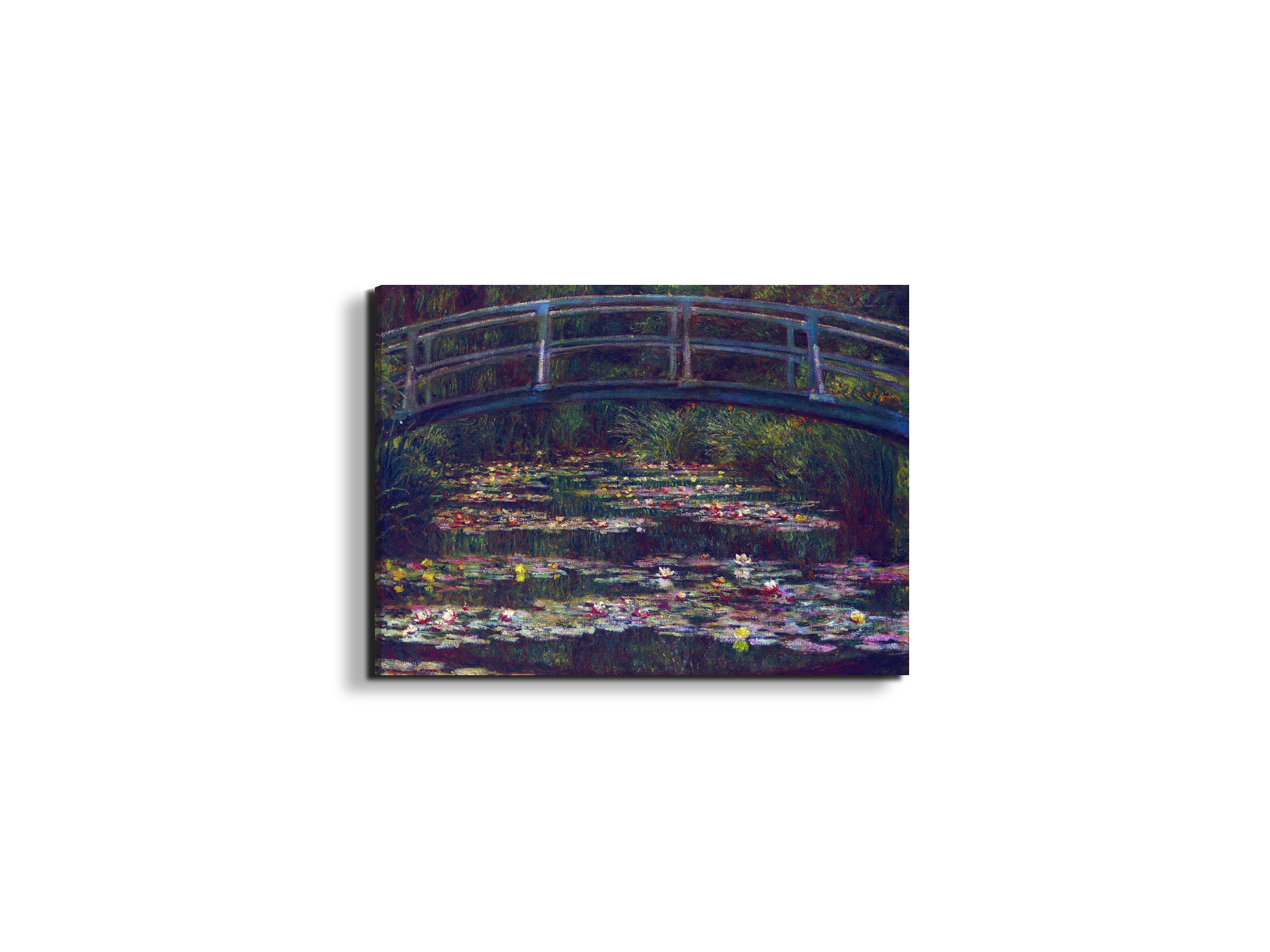 water-lily-pond-vas92057-