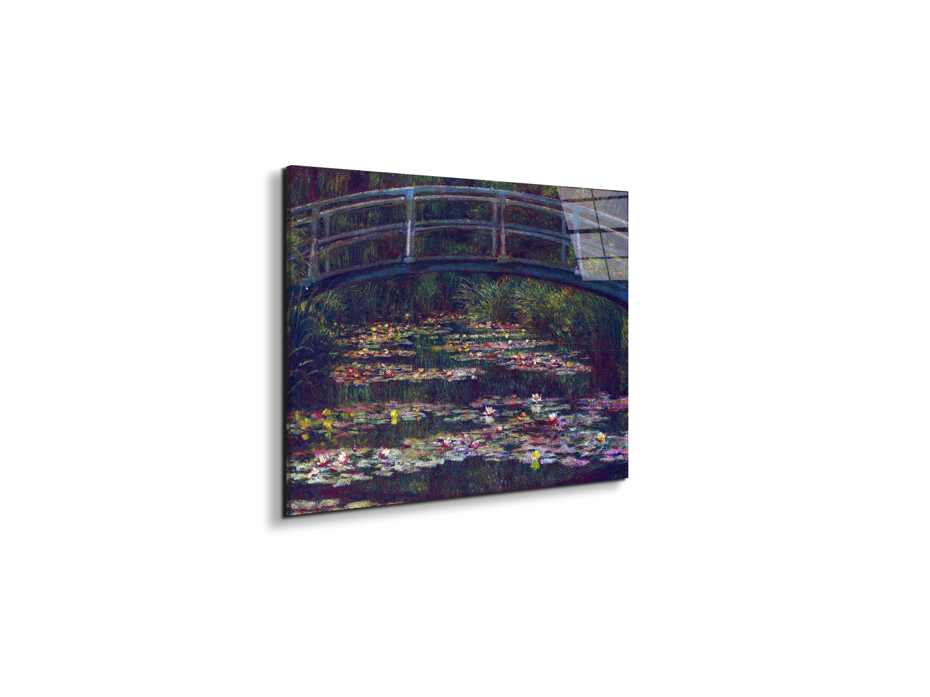 water-lily-pond-vas92057-