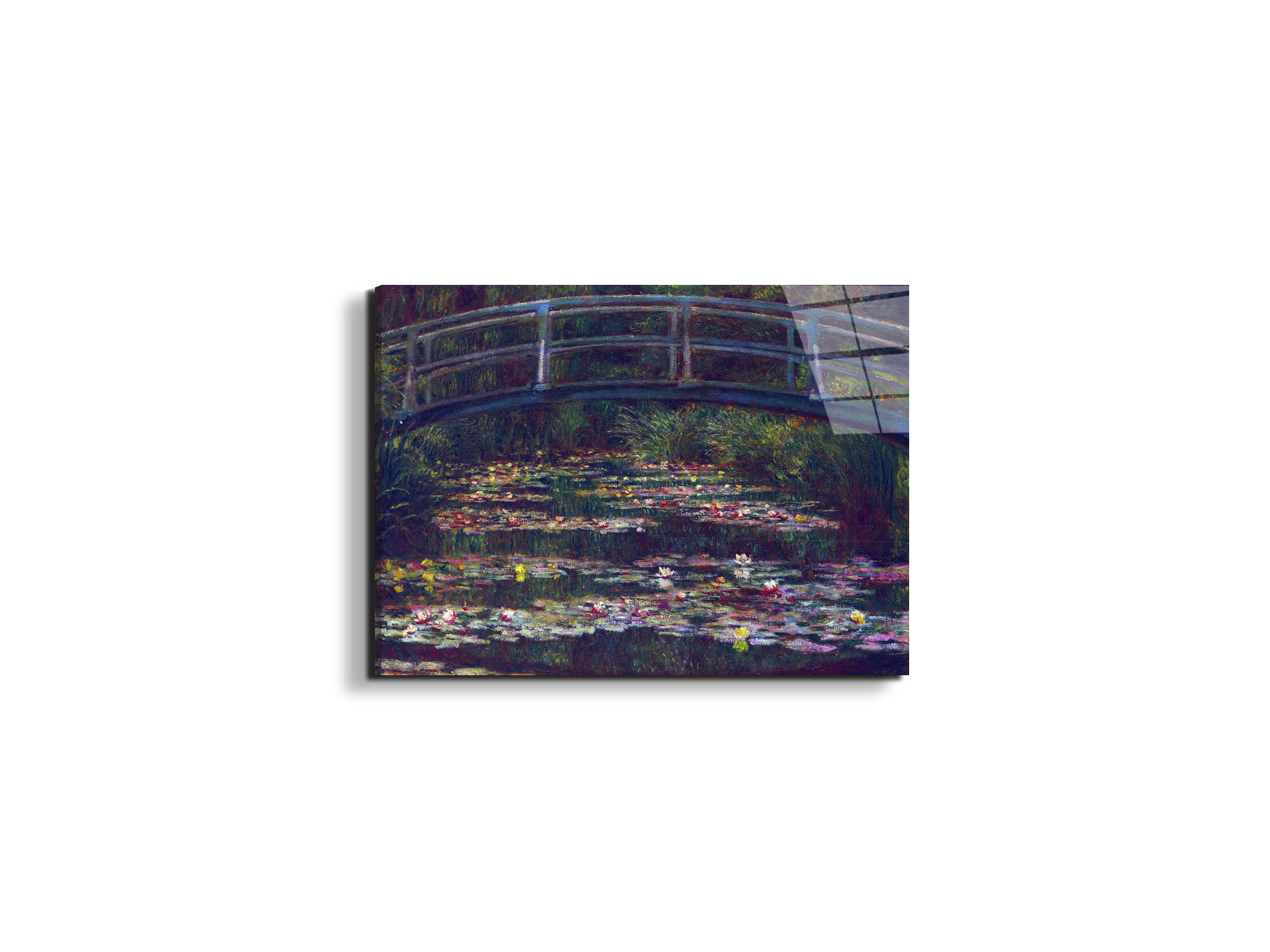 water-lily-pond-vas92057-
