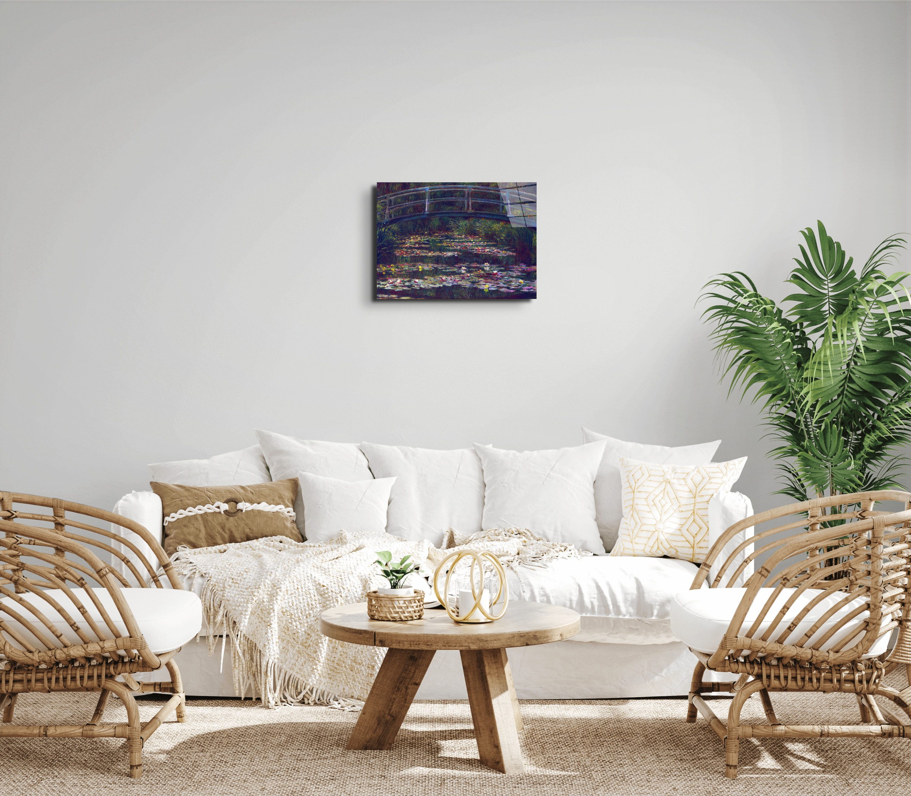 water-lily-pond-vas92057-