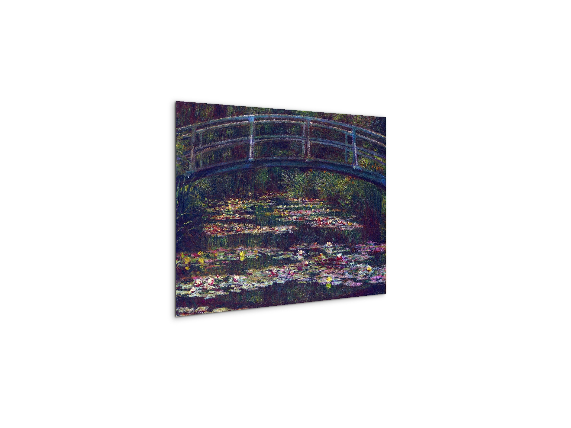 water-lily-pond-vas92057-