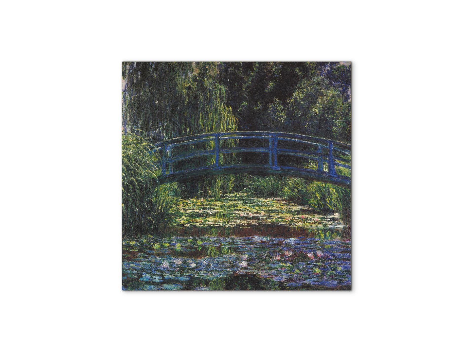 water-lily-pond-vias92059-#materiale_MetalArt Materic/dimensioni_58x58