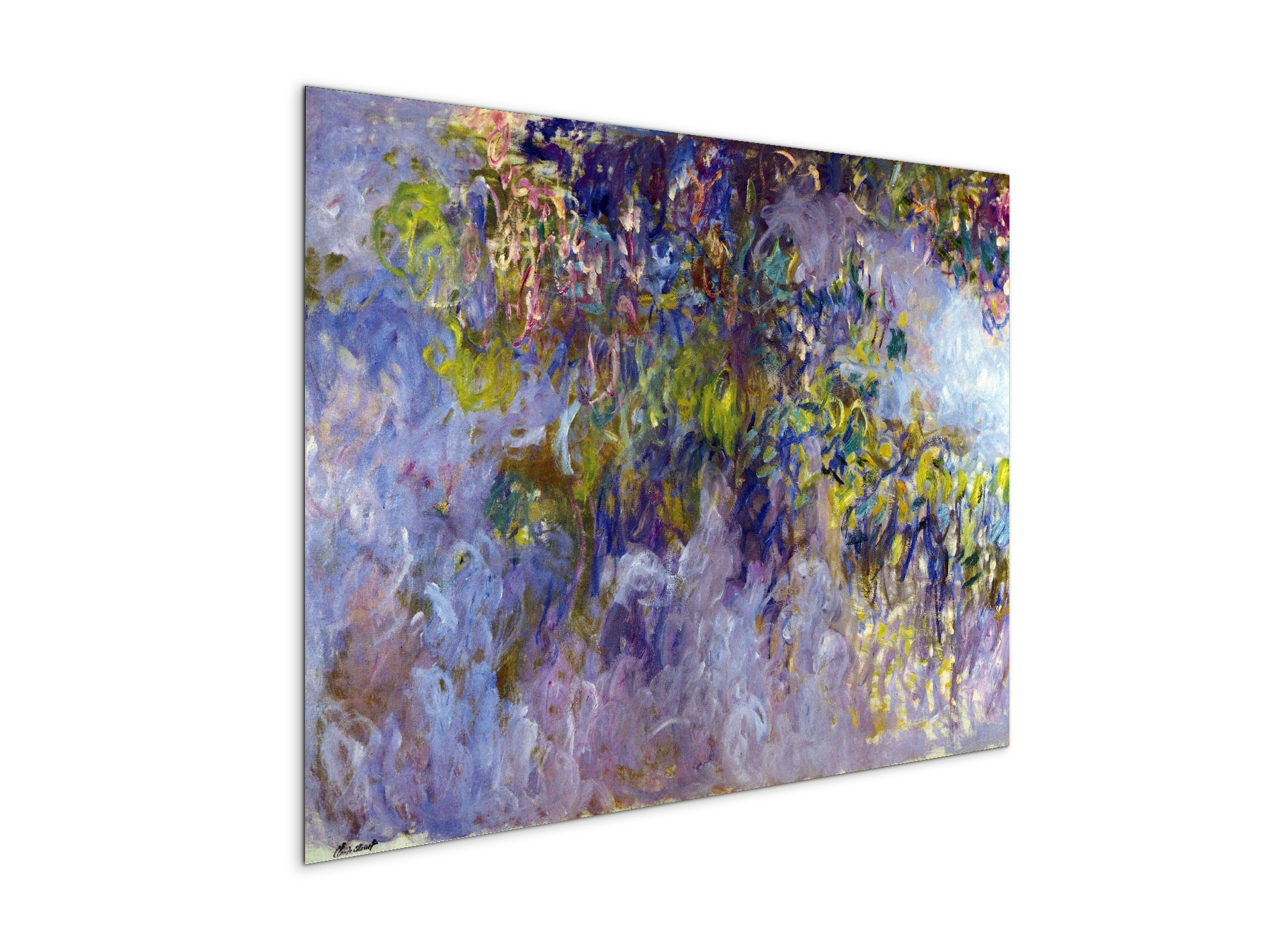wisteria-ias92069-