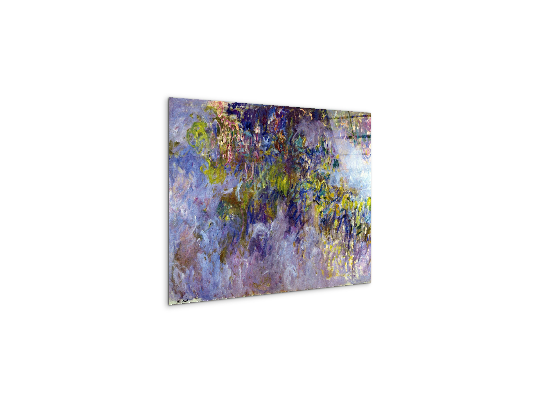wisteria-ias92069-