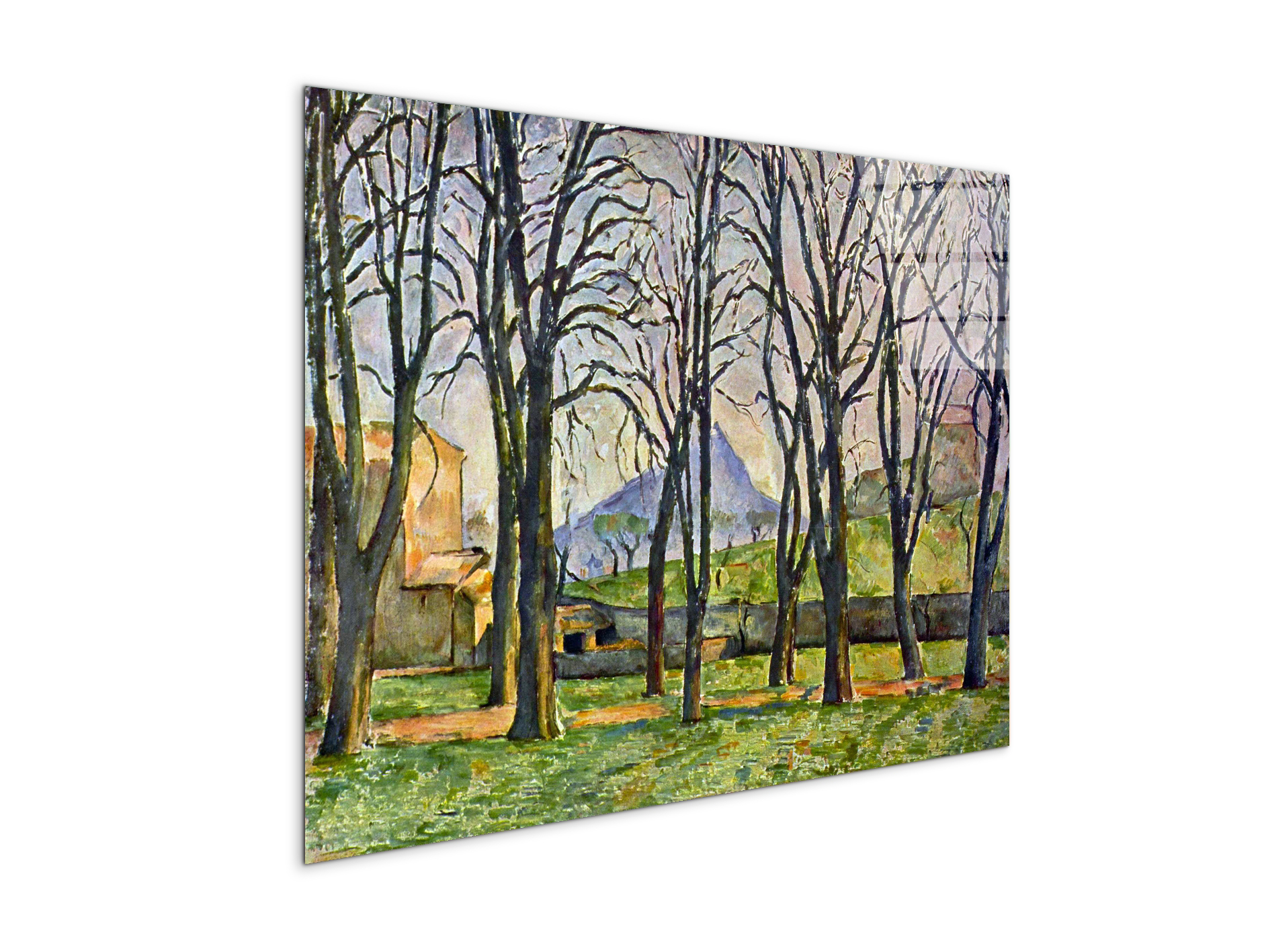 chestnut-trees-in-jas-de-bouffanas92095-