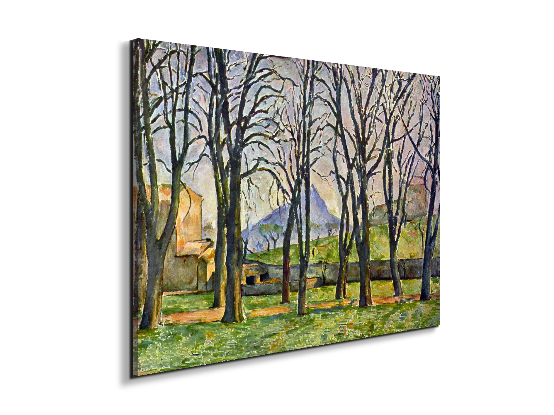 chestnut-trees-in-jas-de-bouffanas92095-