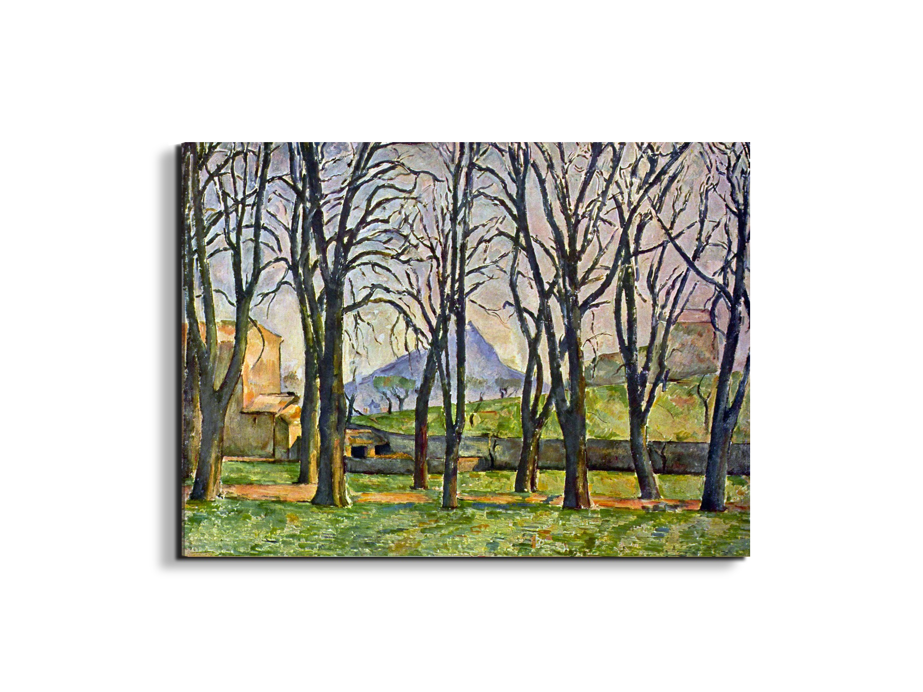 chestnut-trees-in-jas-de-bouffanas92095-