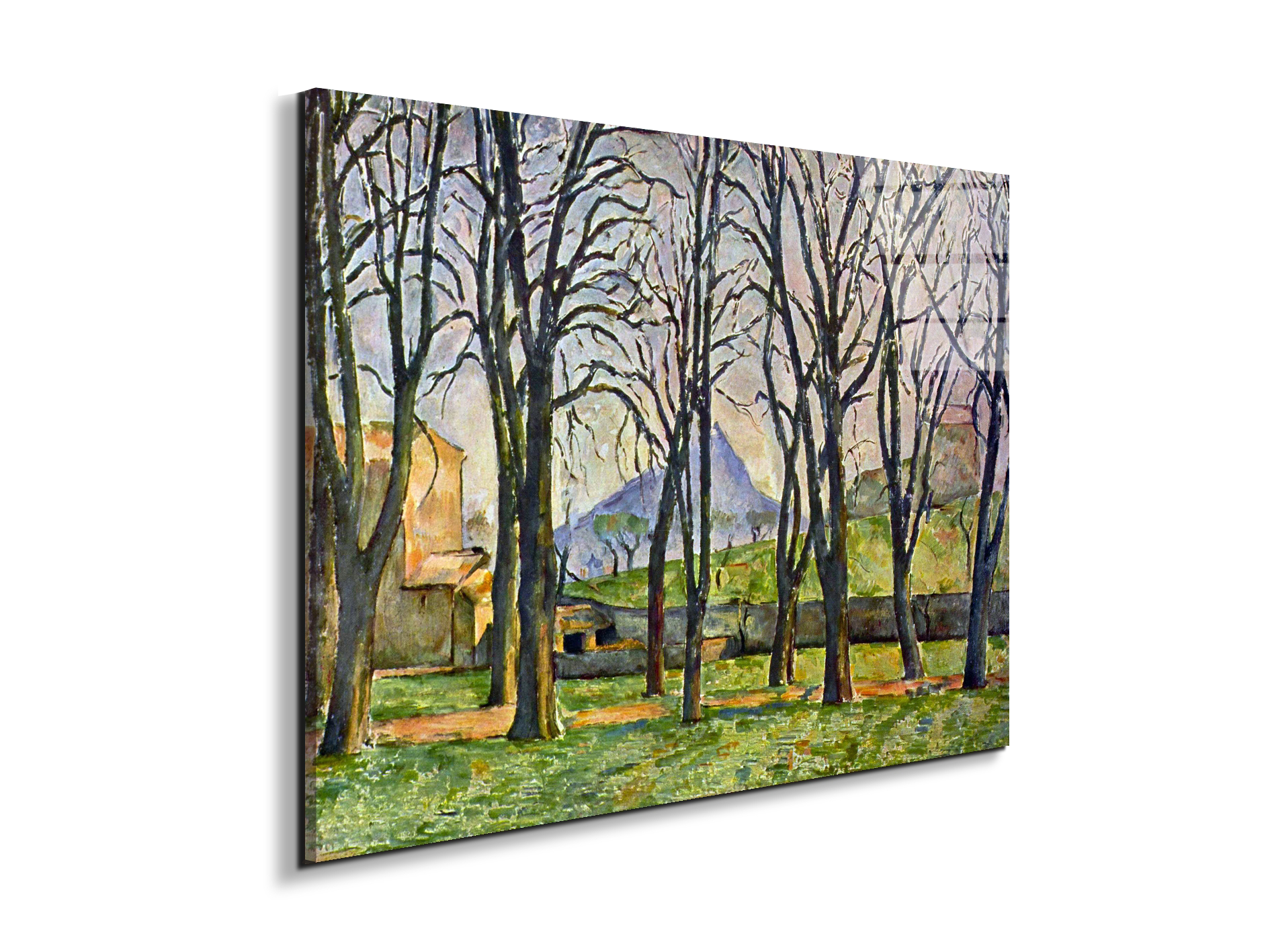 chestnut-trees-in-jas-de-bouffanas92095-