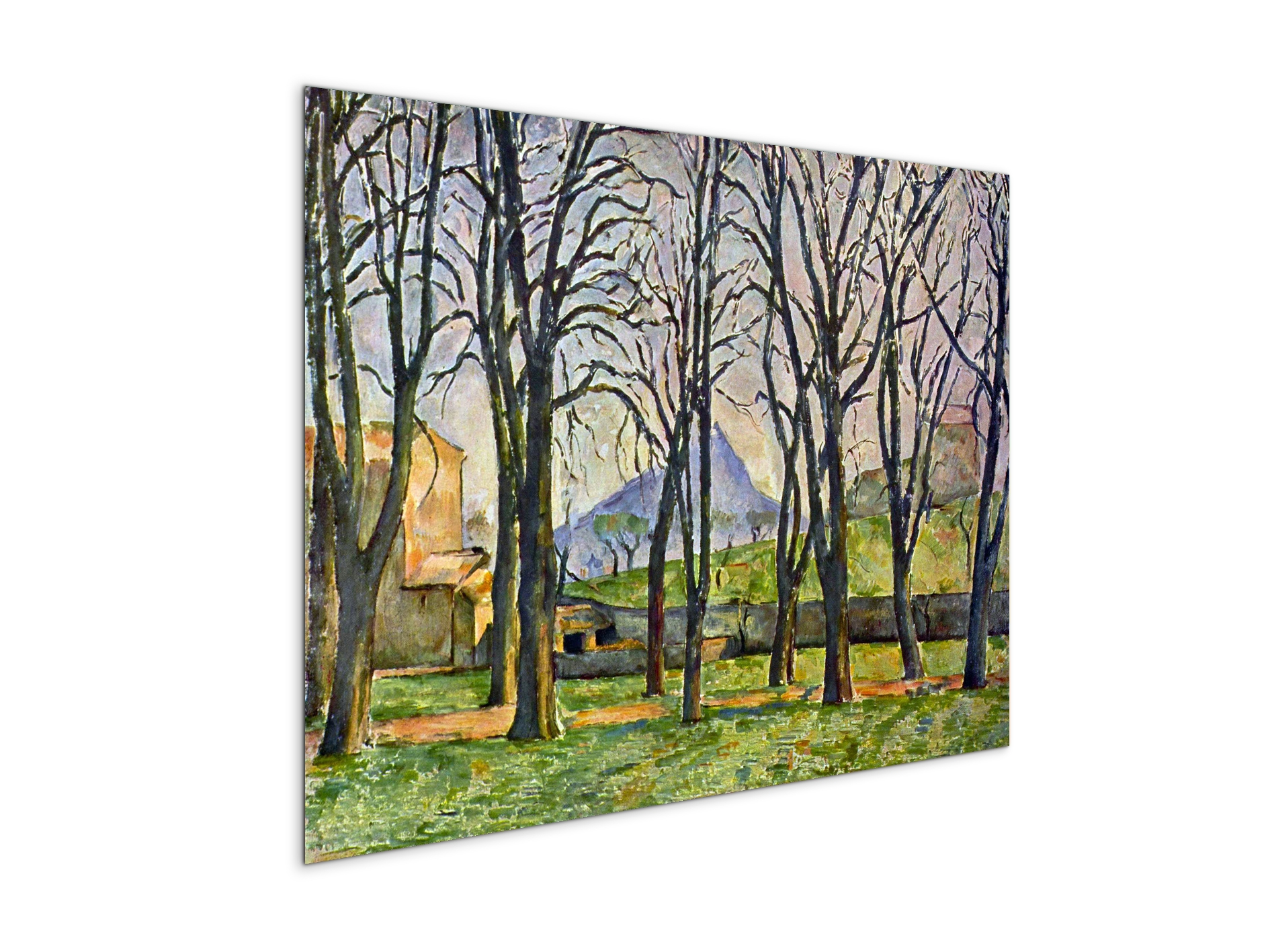 chestnut-trees-in-jas-de-bouffanas92095-