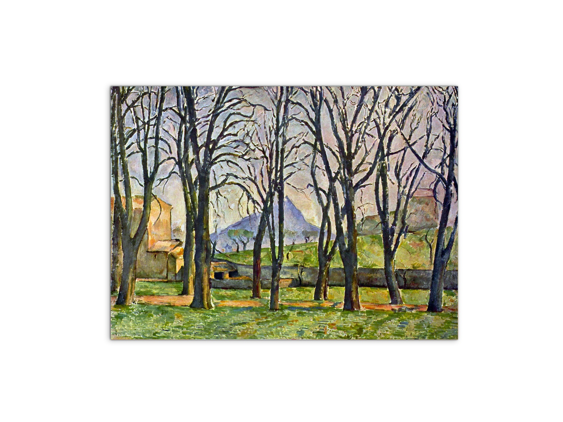 chestnut-trees-in-jas-de-bouffanas92095-