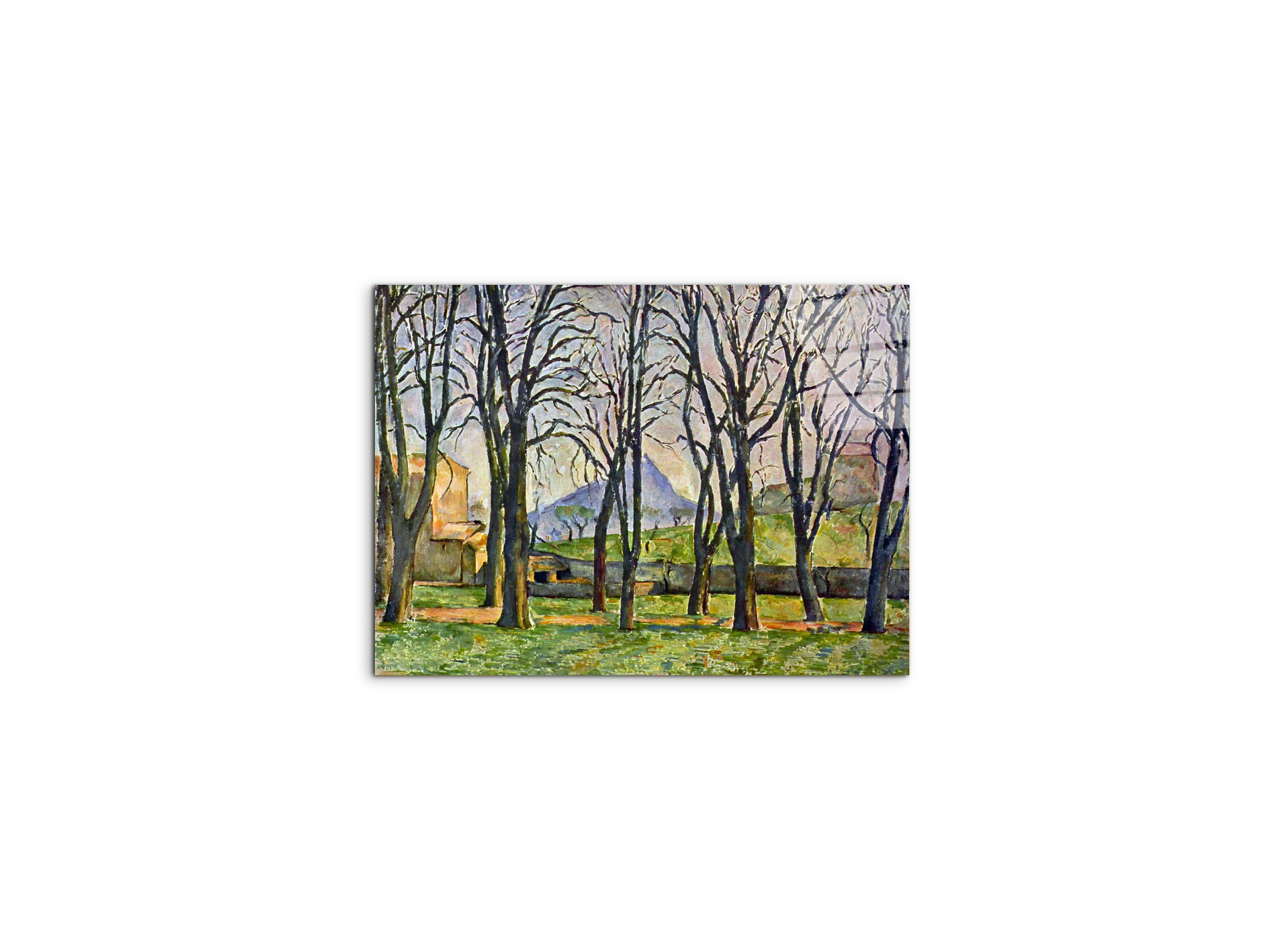 chestnut-trees-in-jas-de-bouffanas92095-