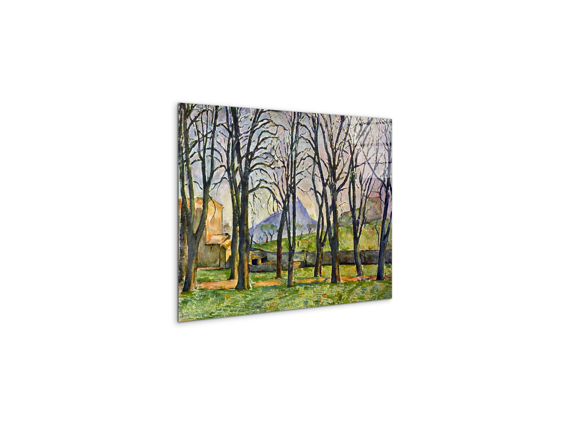 chestnut-trees-in-jas-de-bouffanas92095-