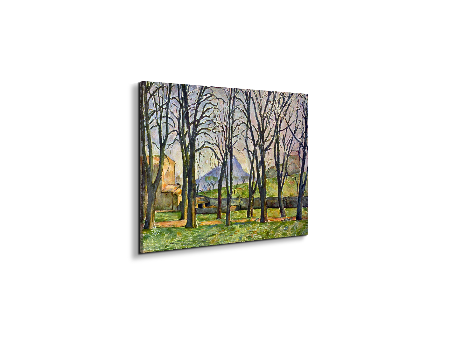 chestnut-trees-in-jas-de-bouffanas92095-