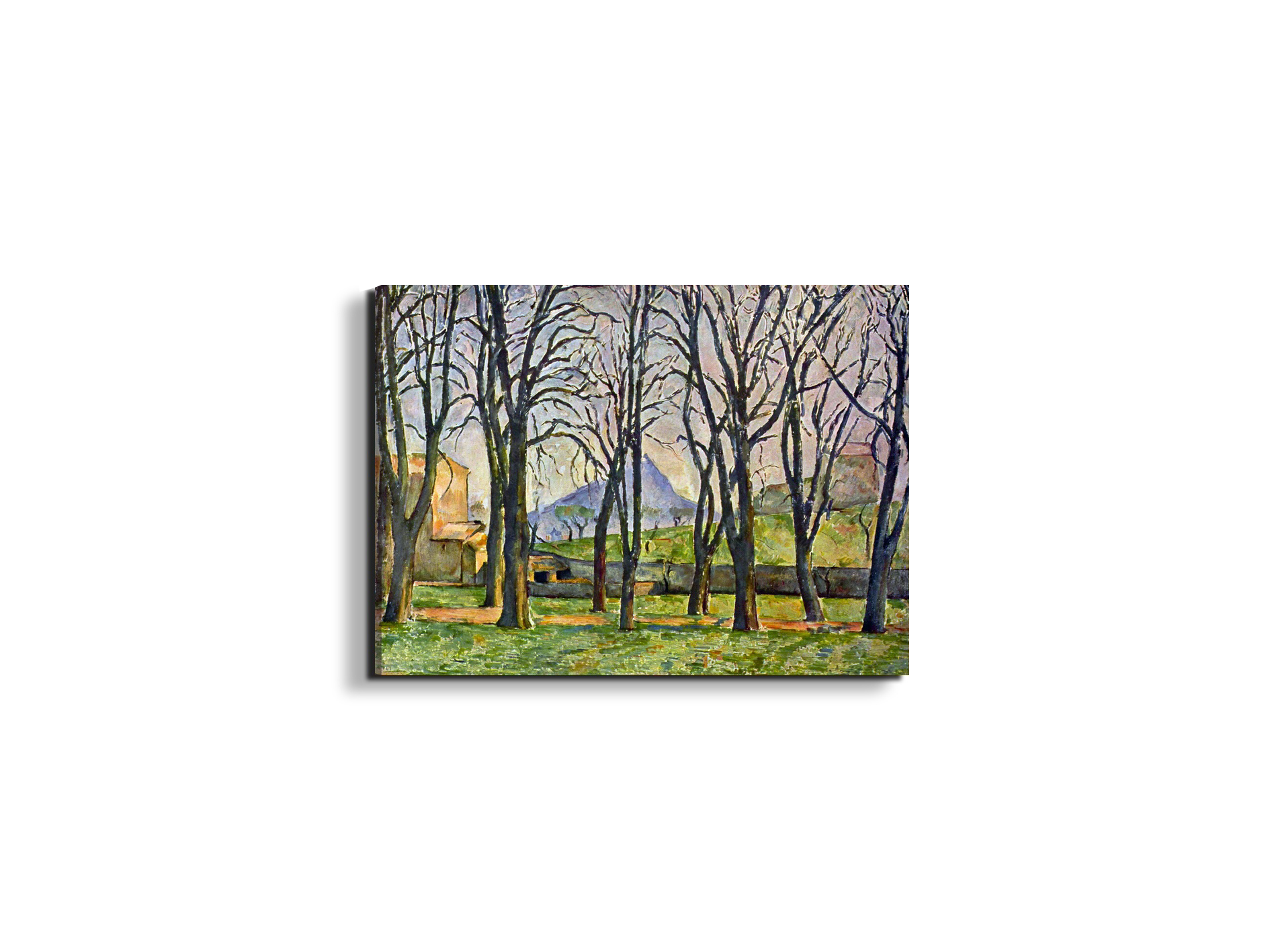 chestnut-trees-in-jas-de-bouffanas92095-